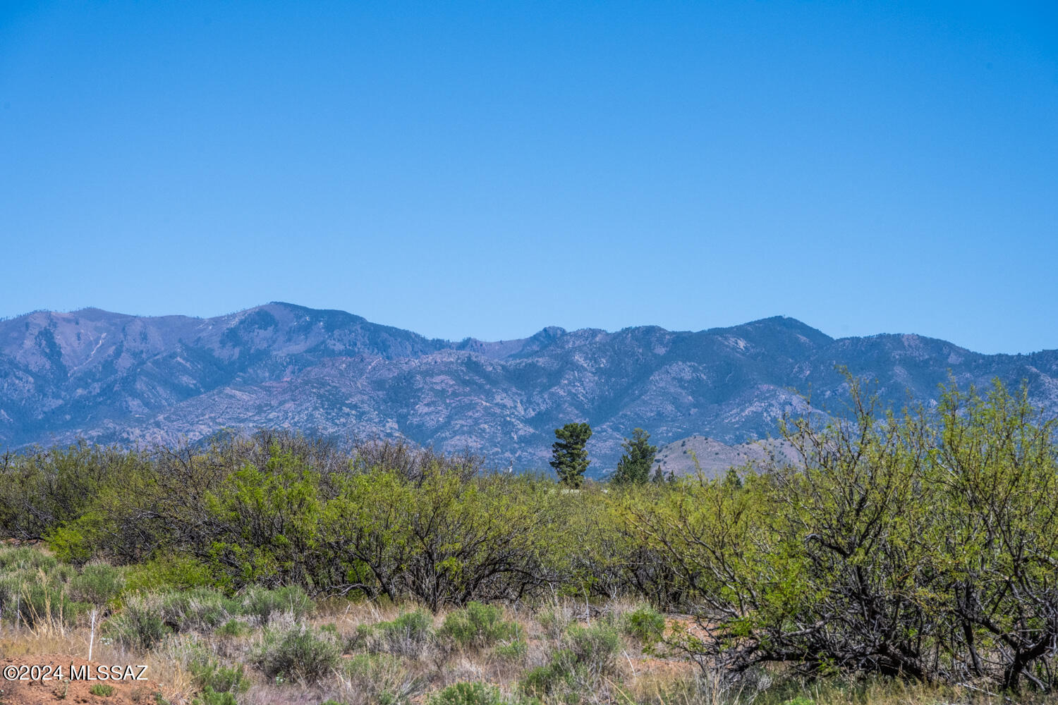 Turkey Creek Ranch - Land