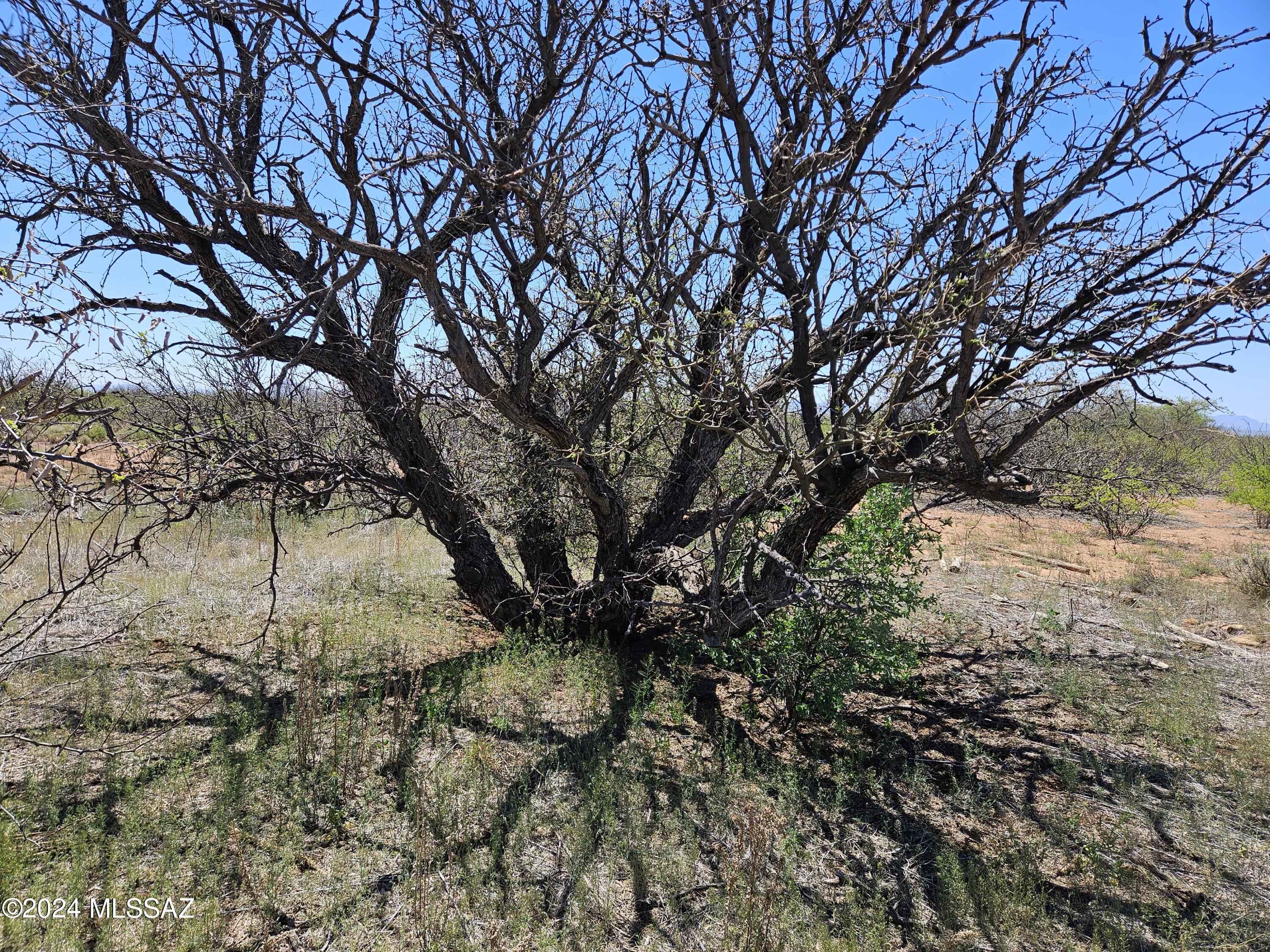 Turkey Creek Ranch - Land