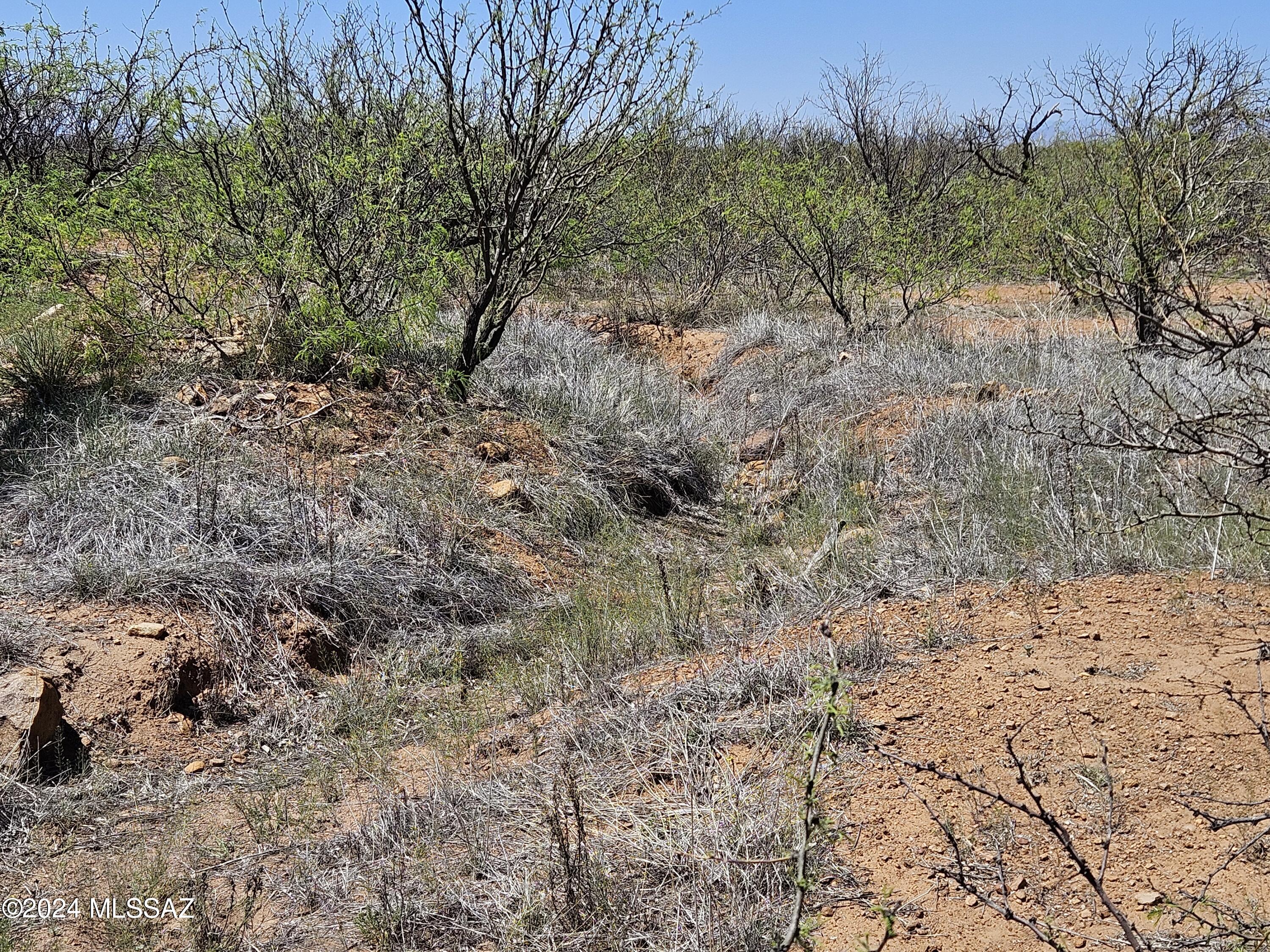 Turkey Creek Ranch - Land