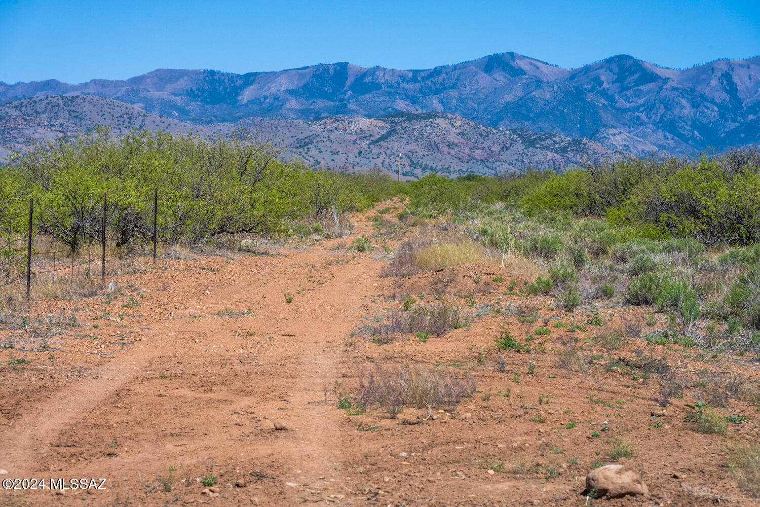 Turkey Creek Ranch - Land