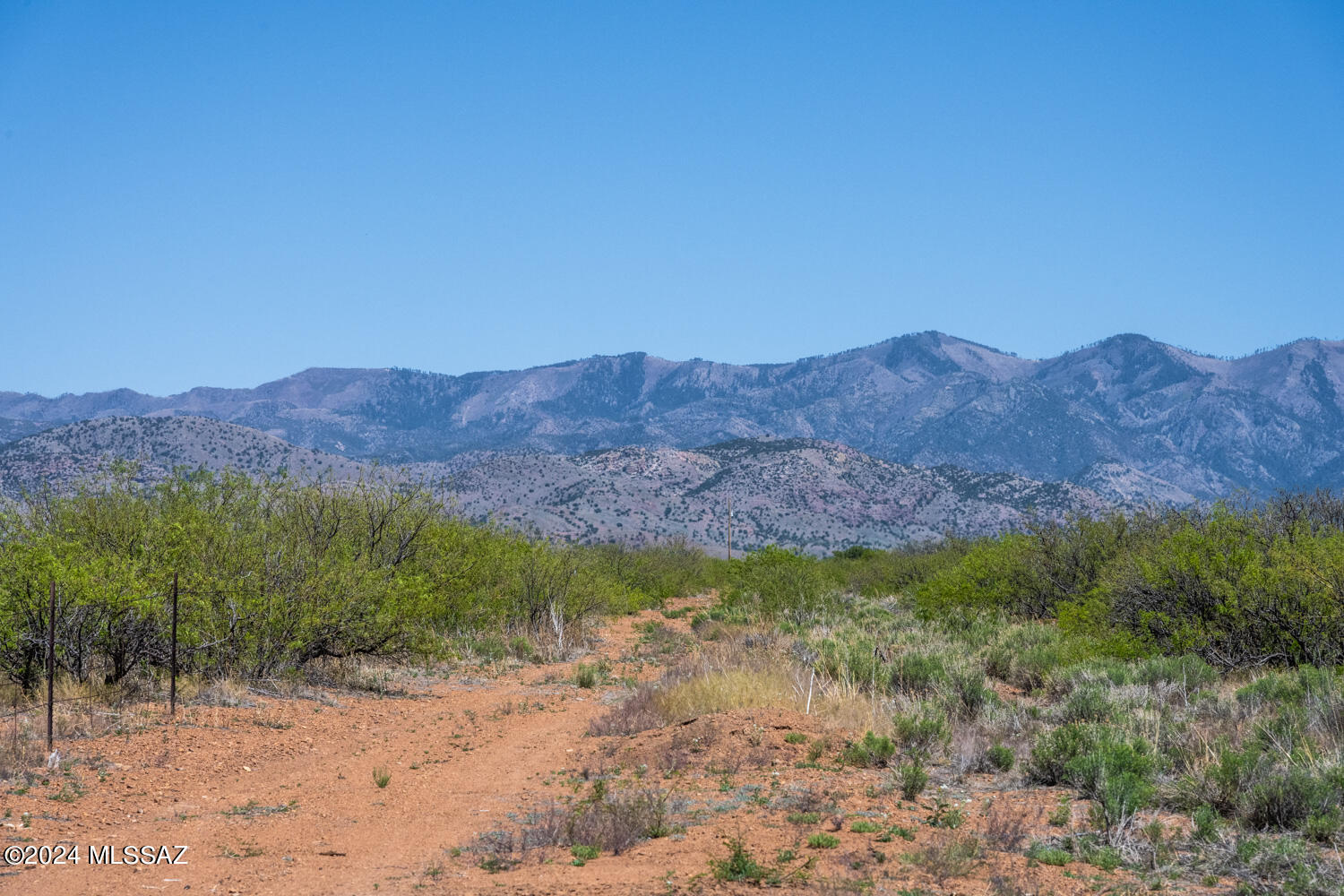 Turkey Creek Ranch - Land