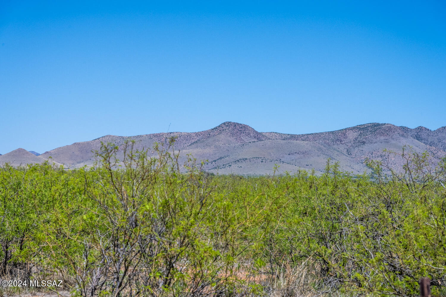Turkey Creek Ranch - Land