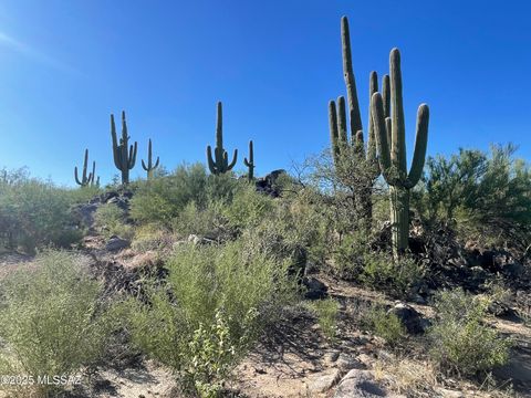 1364 W Tortolita Mountain Circle 313 Oro Valley AZ 85755