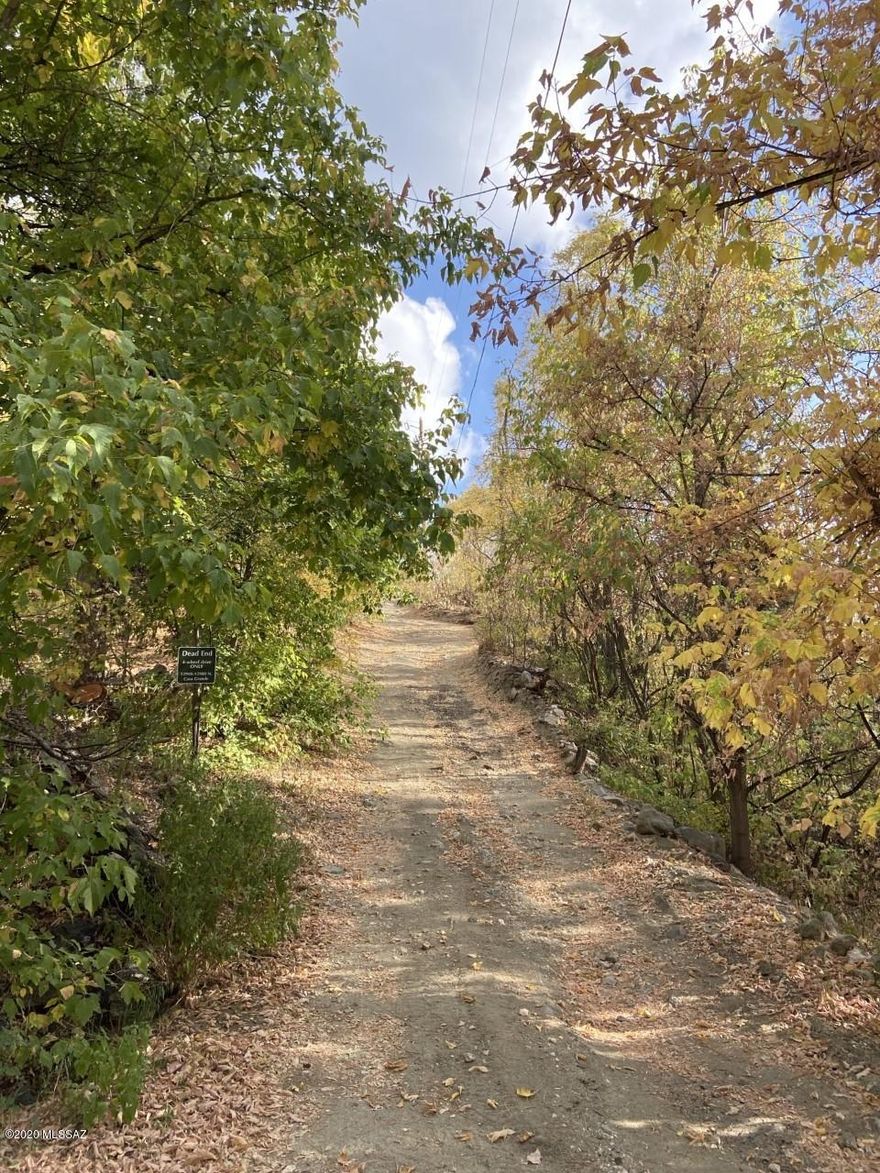 Your chance to own a slice of serenity on Mount Lemmon. Beautiful views from this 0.12 acre lot. Views of Summerhaven as well as the mountain. Electric and water at the lot line.   You'll feel like you are in a tree house from your dream home.  Waiting for you to make your dreams of a Mount Lemmon get away a reality.