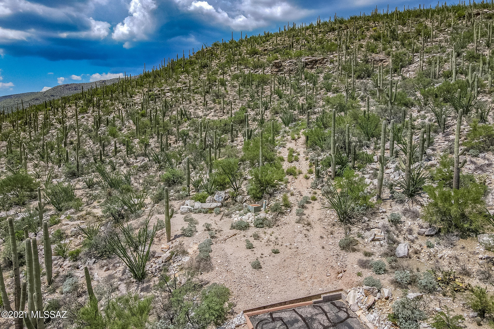 Mira Vista Estates (1-23) - Land