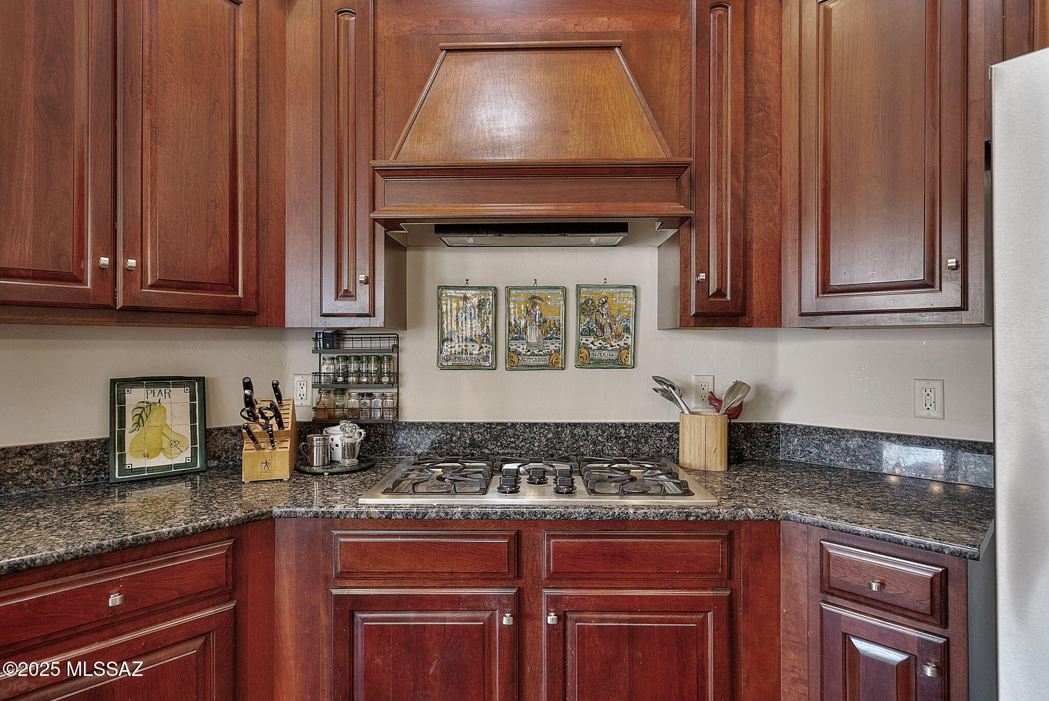 Santiago at Barrio de Tubac - Residential