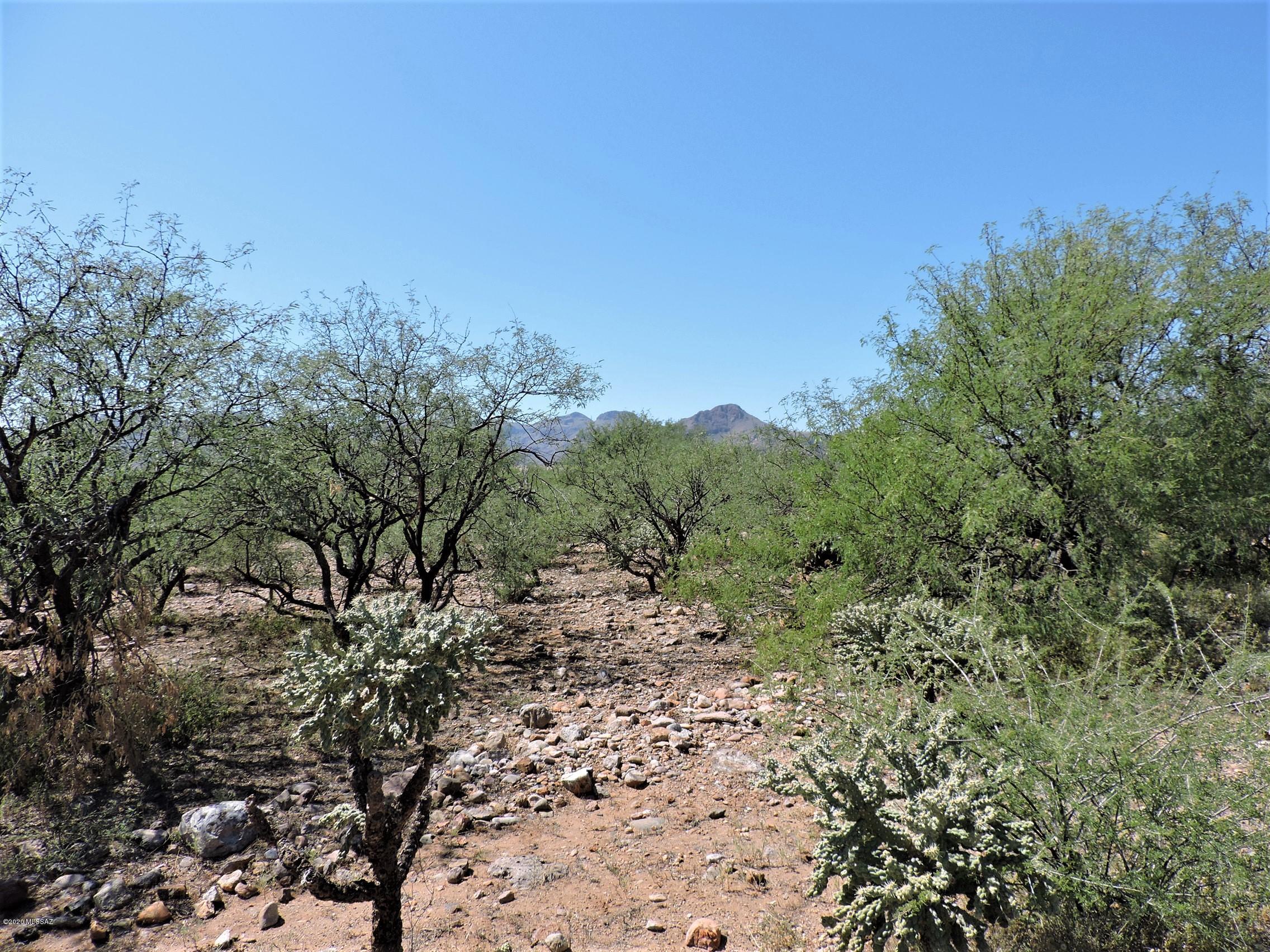 Rio Rico Villas 11 - Land