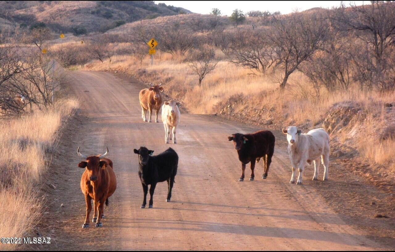 Salero Ranch - Land