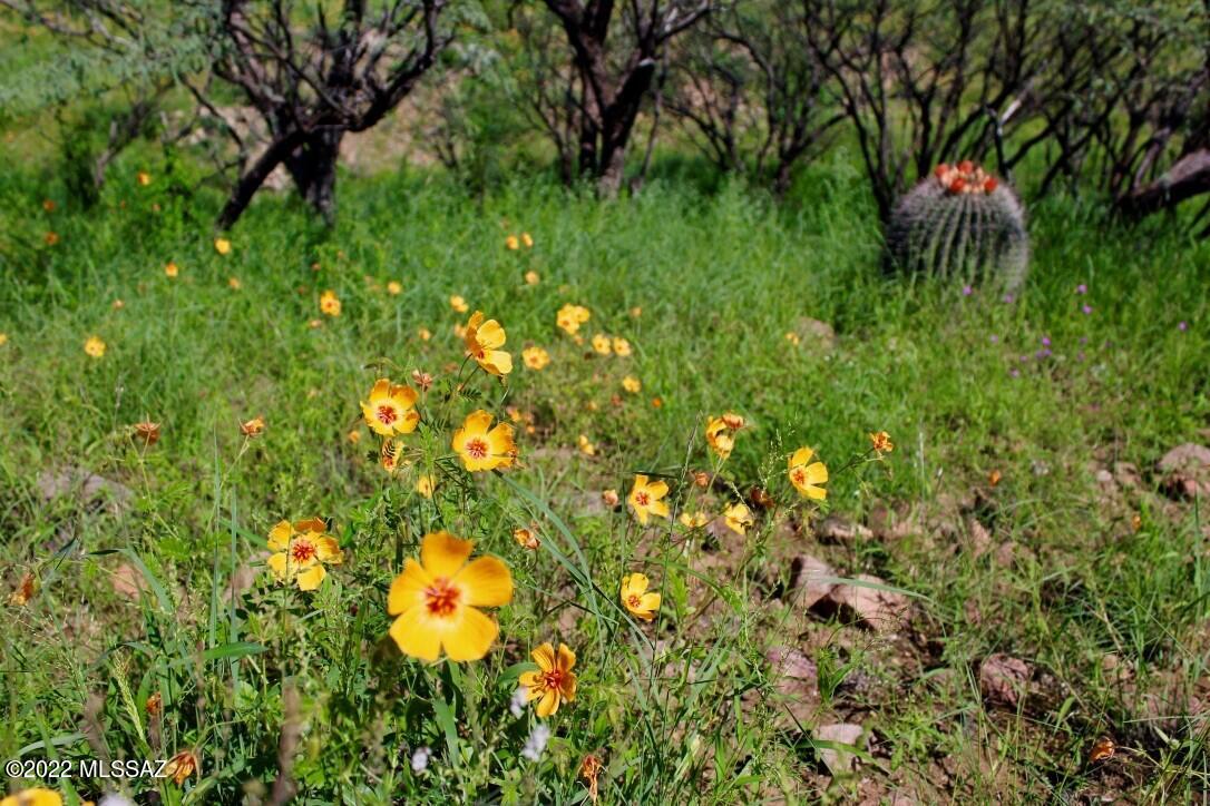 Salero Ranch - Land