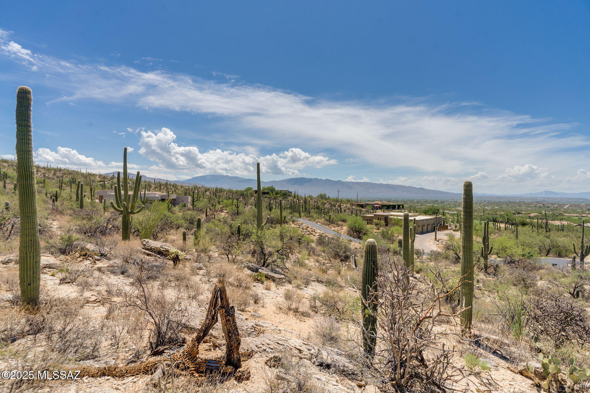 Picture for the property 22519300, 0 beds, 0 baths
