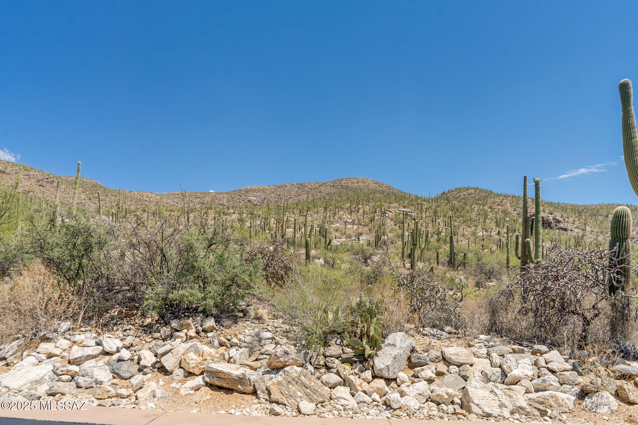 Picture for the property 22519300, 0 beds, 0 baths