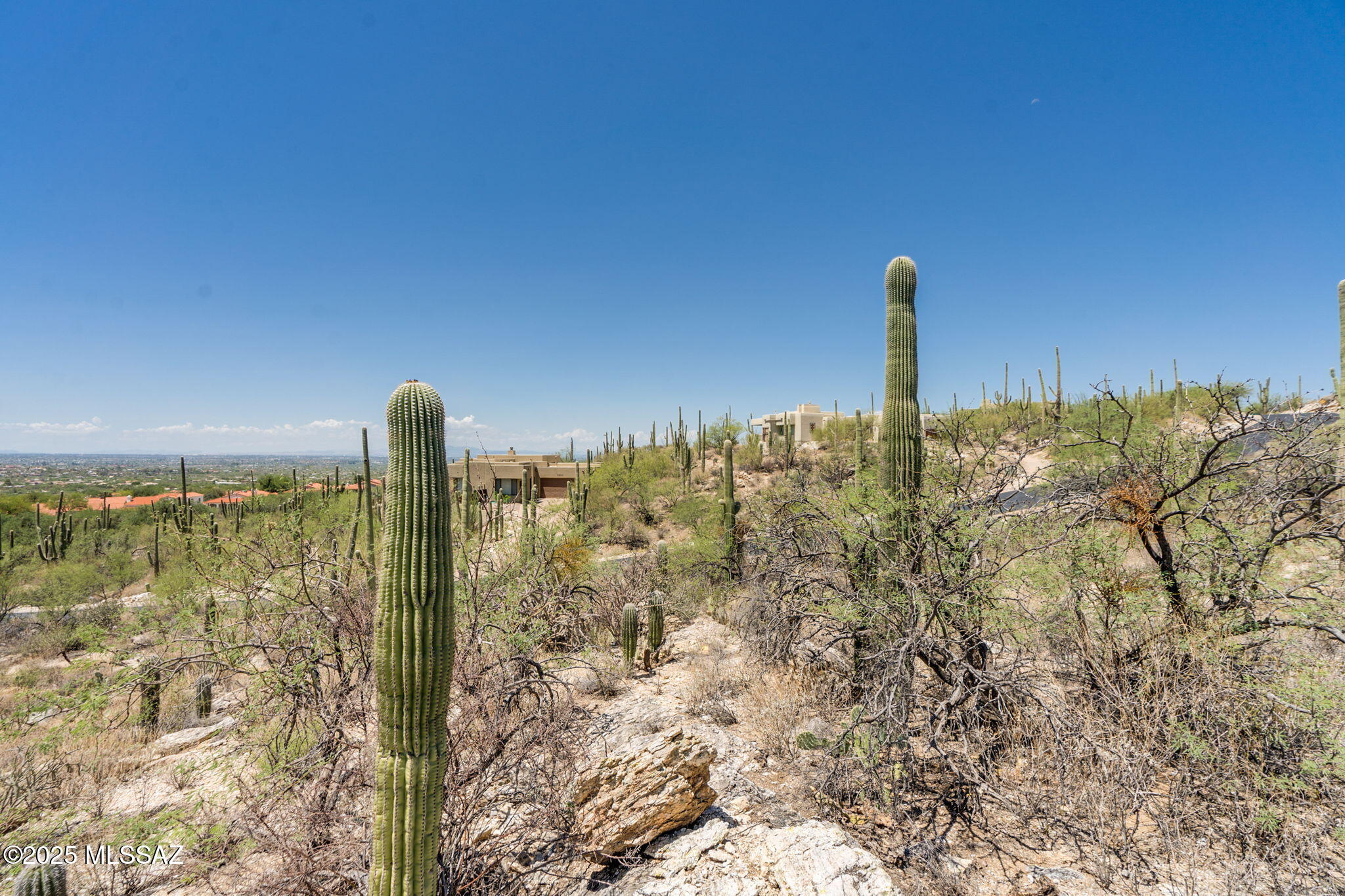 Picture for the property 22519300, 0 beds, 0 baths