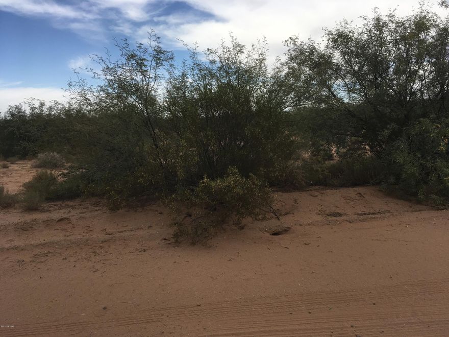 Fronts on three roads - Blue Aloe, Marstellar and Green Cactus - natural desert.  Great place for your dream home.