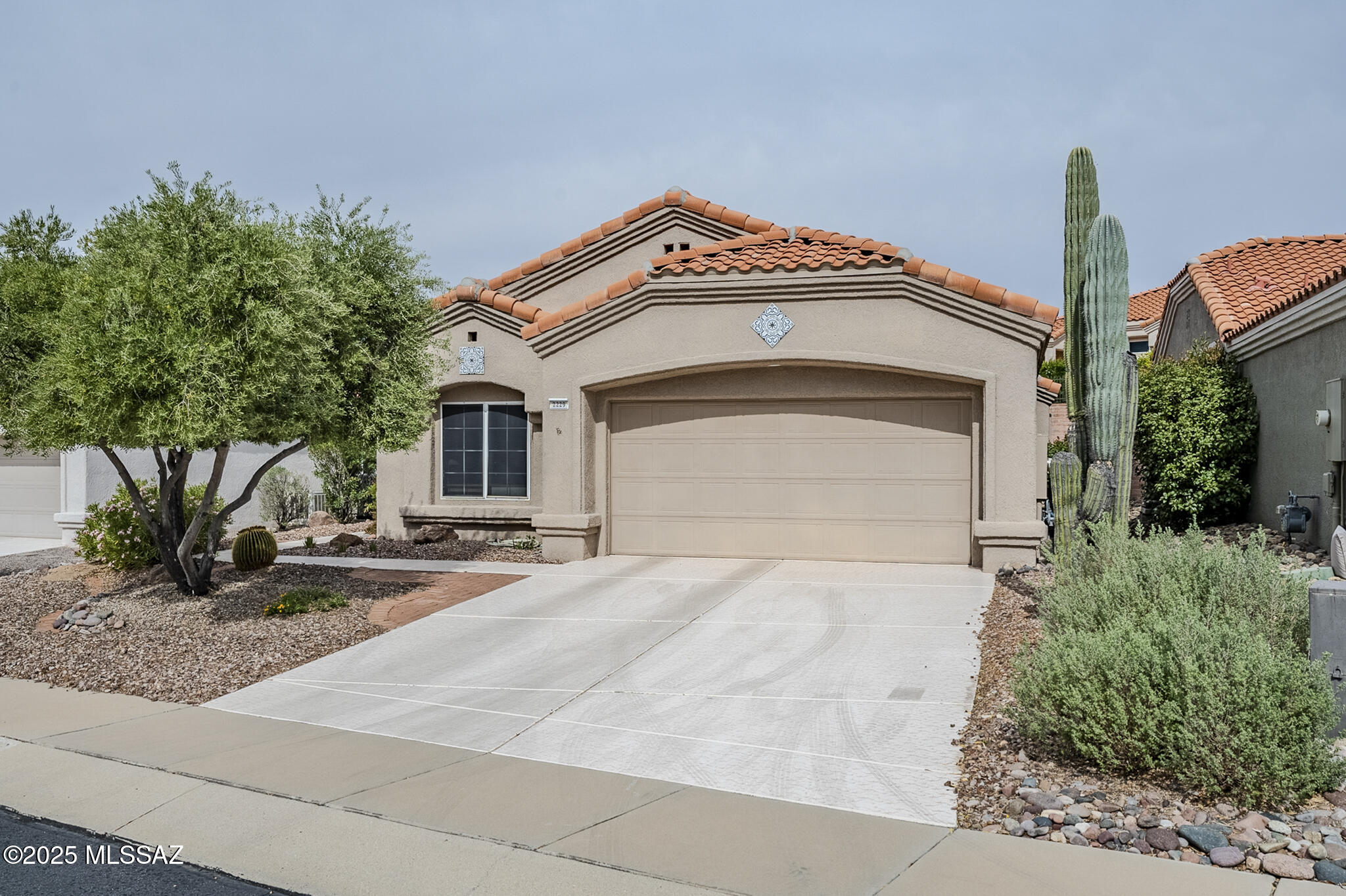 2229 E Celosia Way