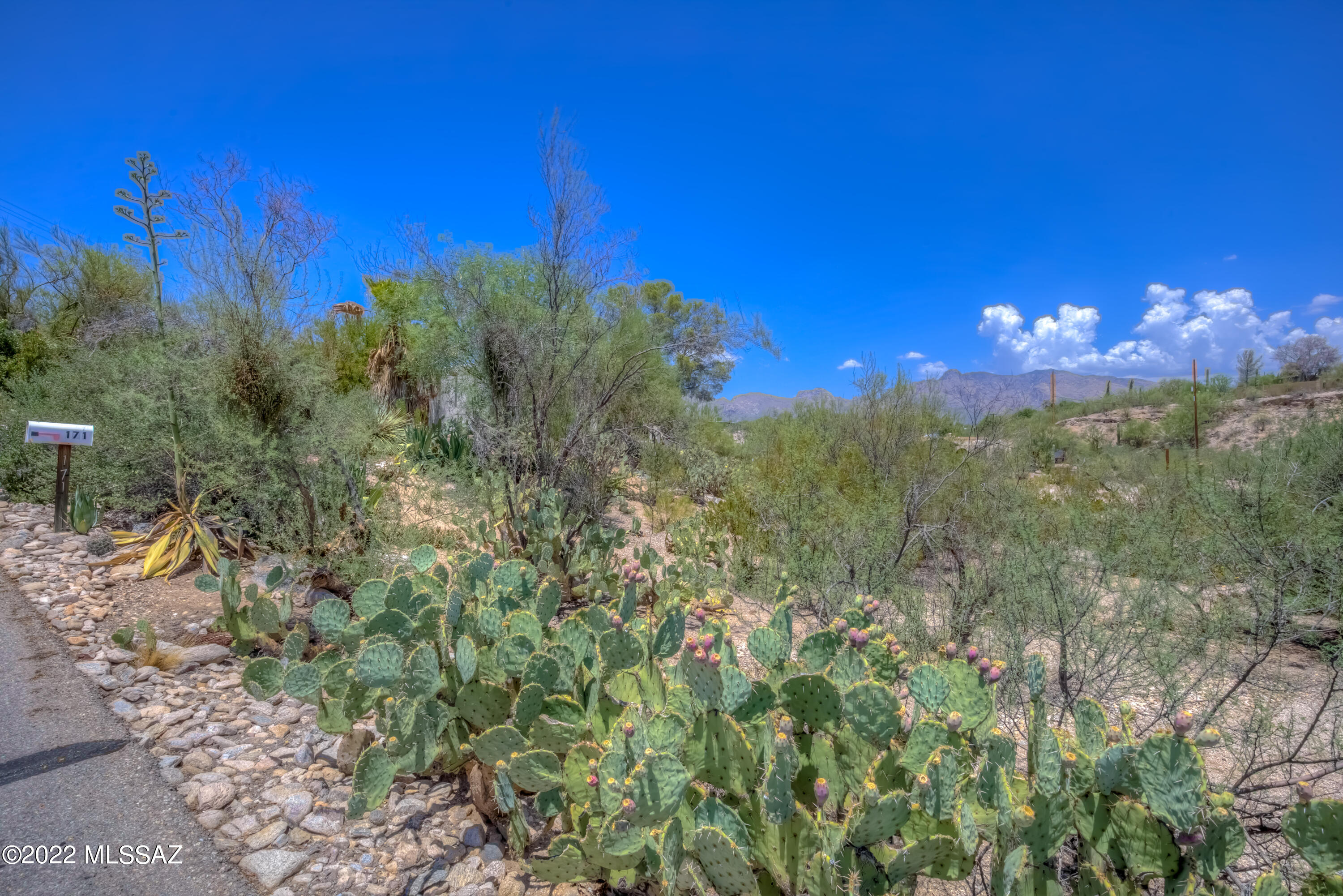 Oracle Foothills Estates NO. 2 - Residential