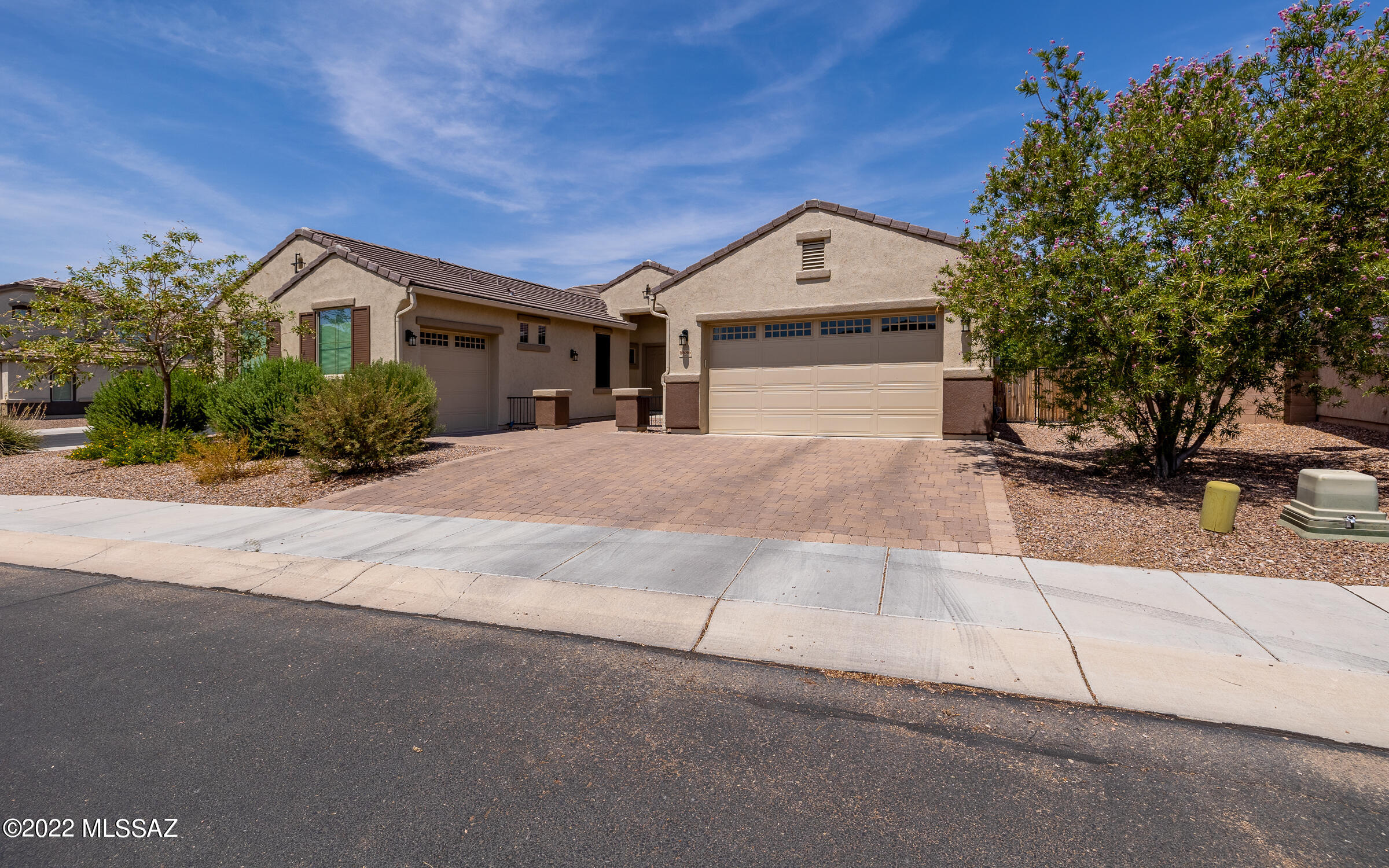 Saguaro Bloom Block 8B - Residential