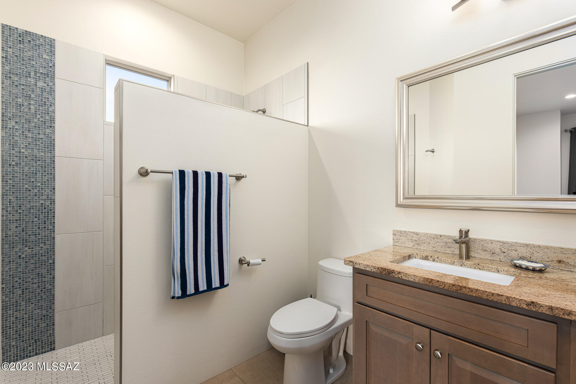 Rancho Vistoso Neighborhood 7 (1-317) - Residential
