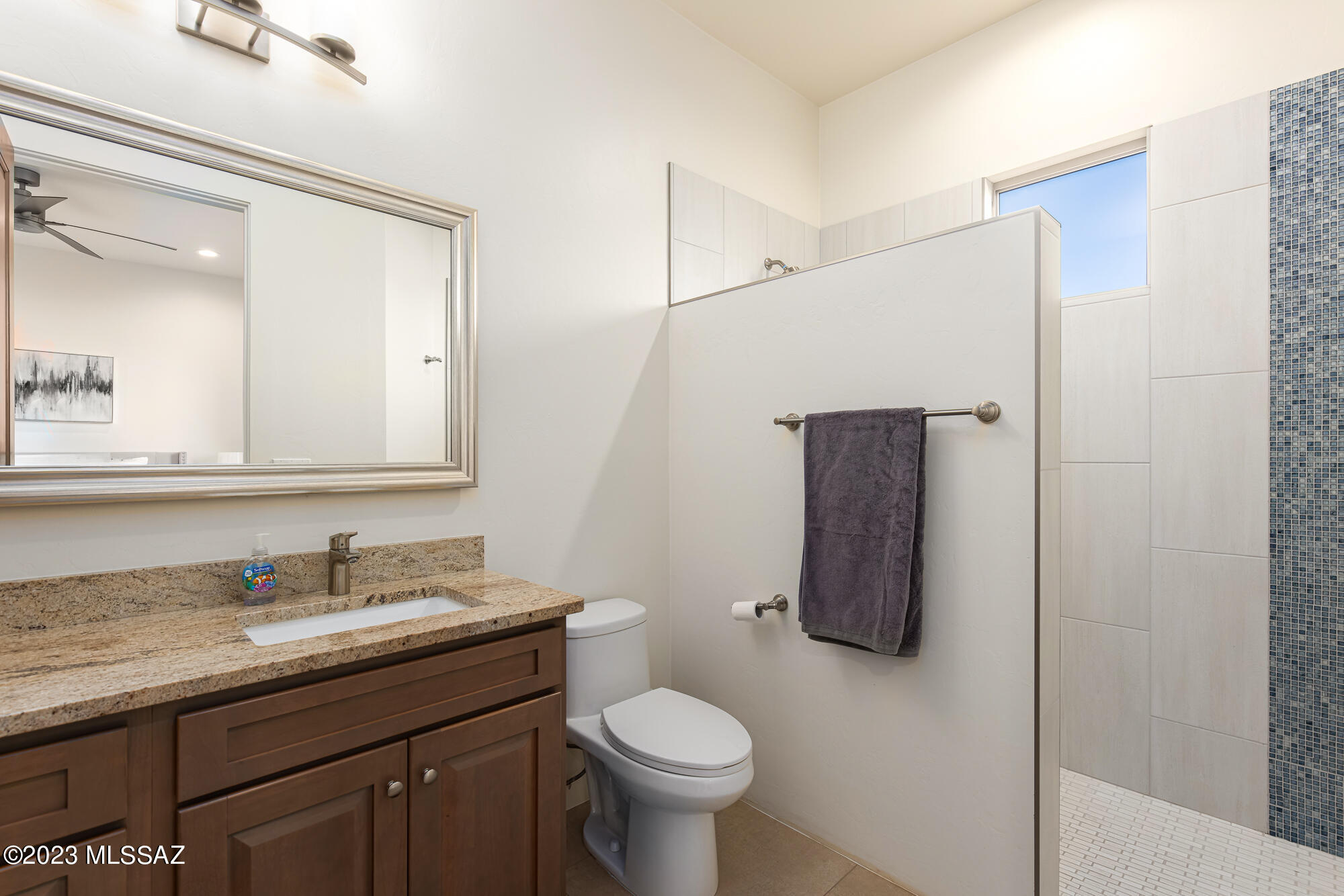 Rancho Vistoso Neighborhood 7 (1-317) - Residential