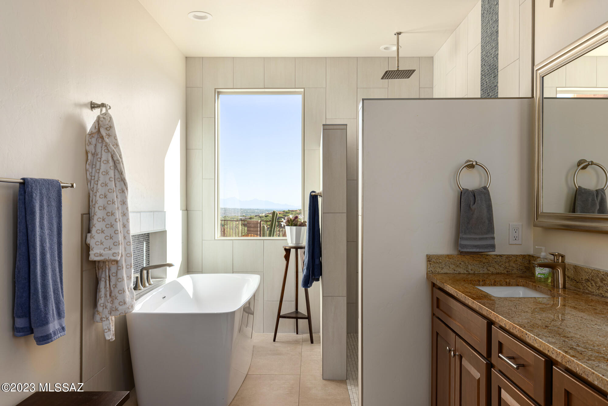 Rancho Vistoso Neighborhood 7 (1-317) - Residential