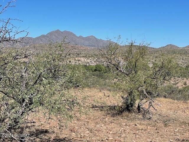 Sonoita Creek Ranch Unit 2 - Land