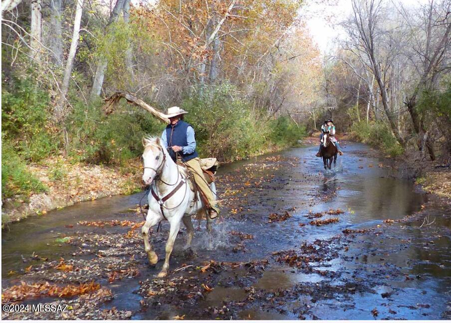 Sonoita Creek Ranch Unit 2 - Land