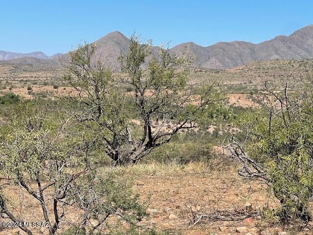 Sonoita Creek Ranch Unit 2 - Land