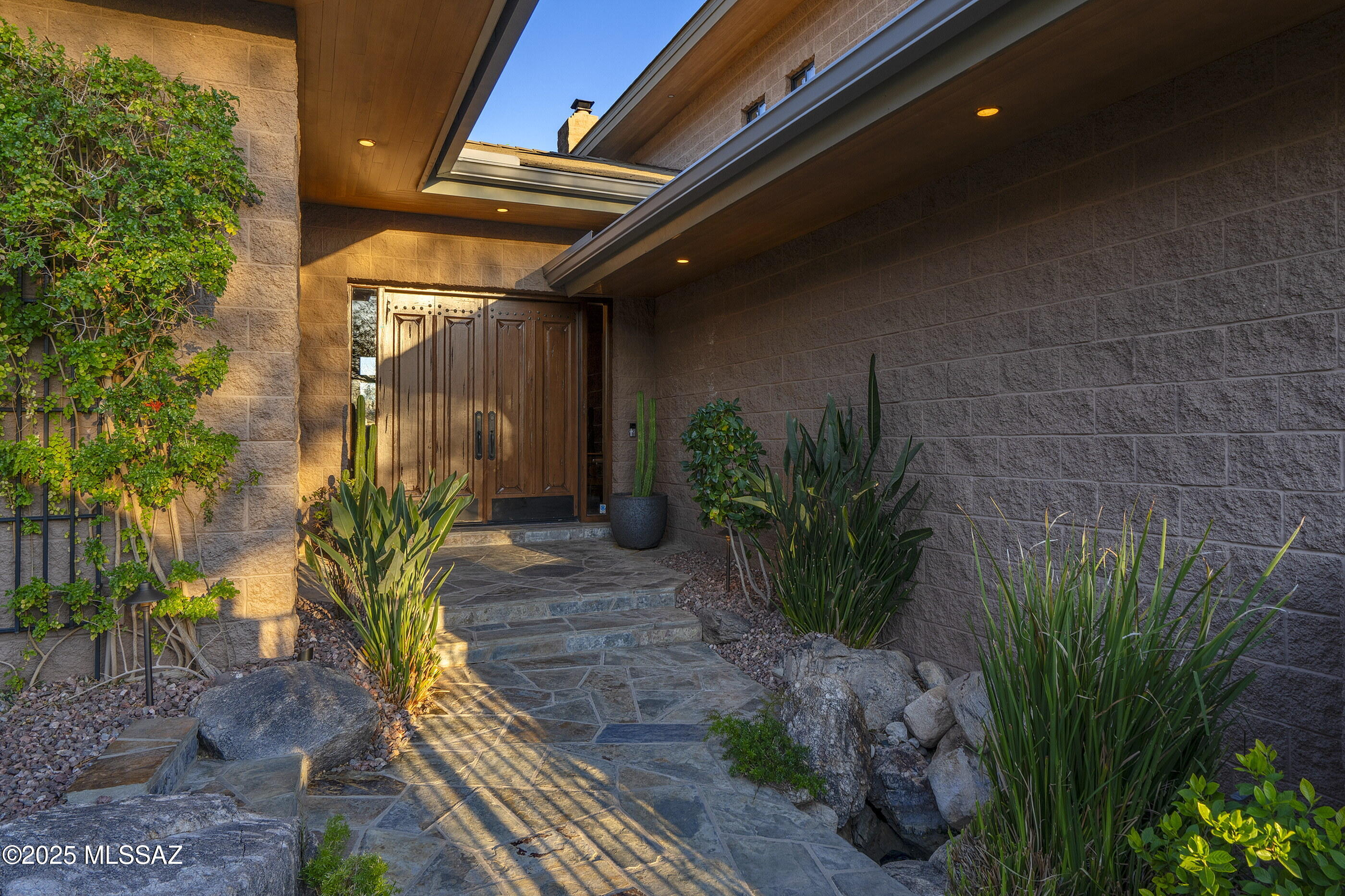 6289 N Desert Moon Loop