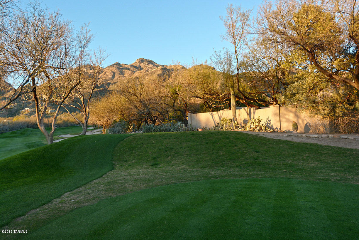 Ventana Canyon Estates (110-148, 179-185) - Residential