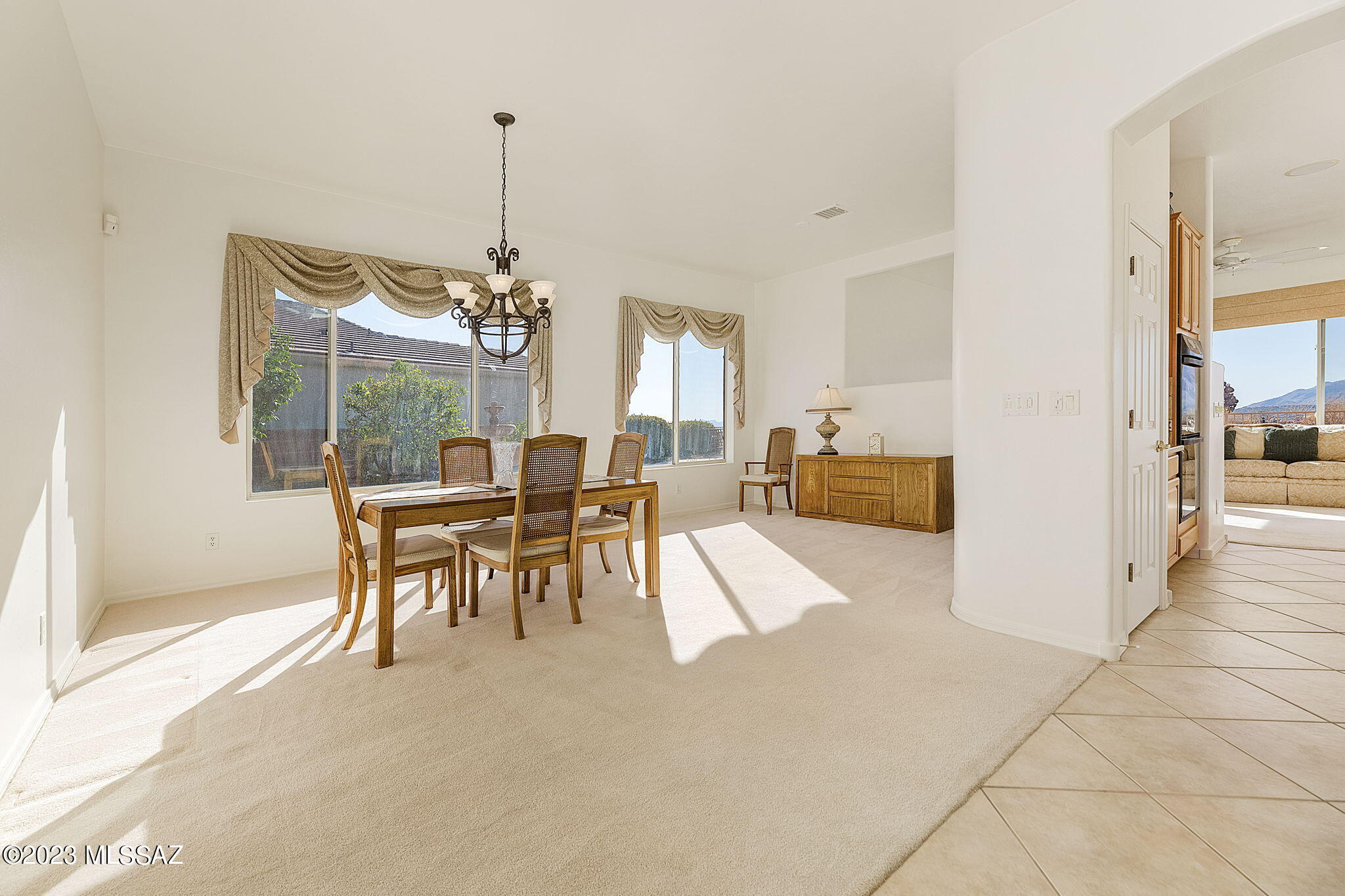 Sabino Mountain (1-290) - Residential