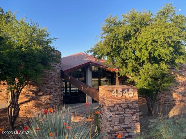 Sabino Mountain (1-290) - Residential