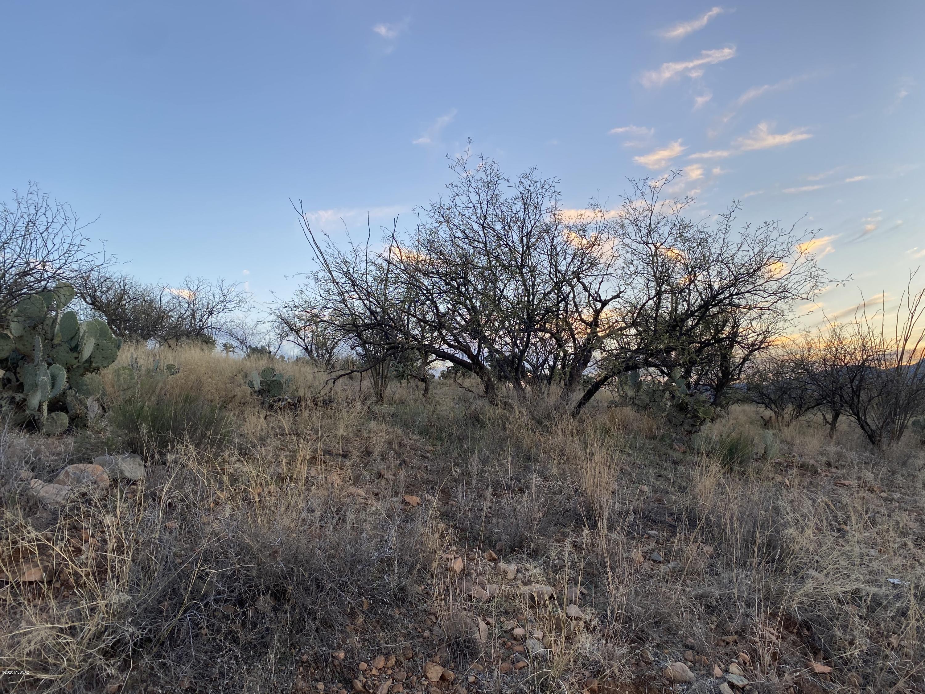 Rio Rico Ranchettes - Land