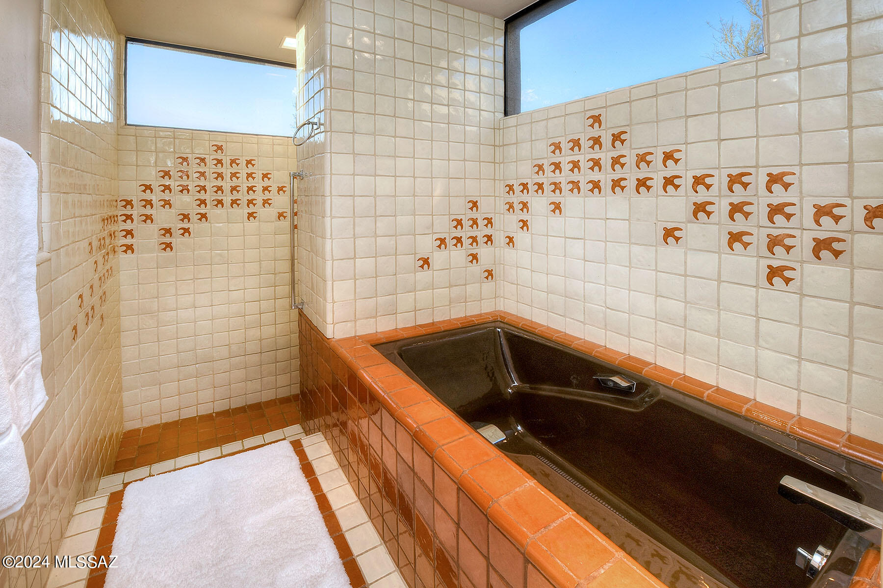 Catalina Foothills Estates NO. 10 (1-72) - Residential