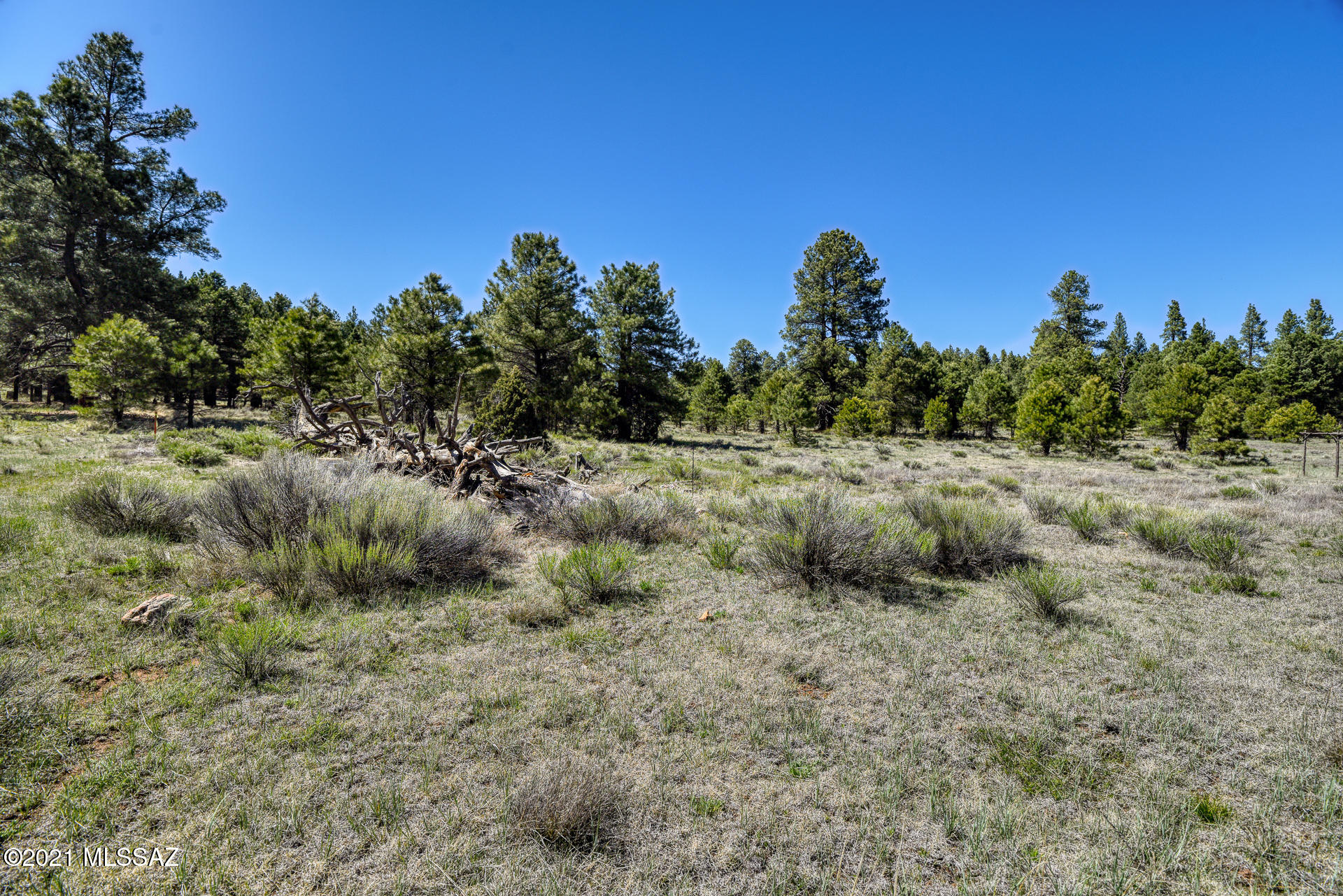 Out Of Pima County - Residential