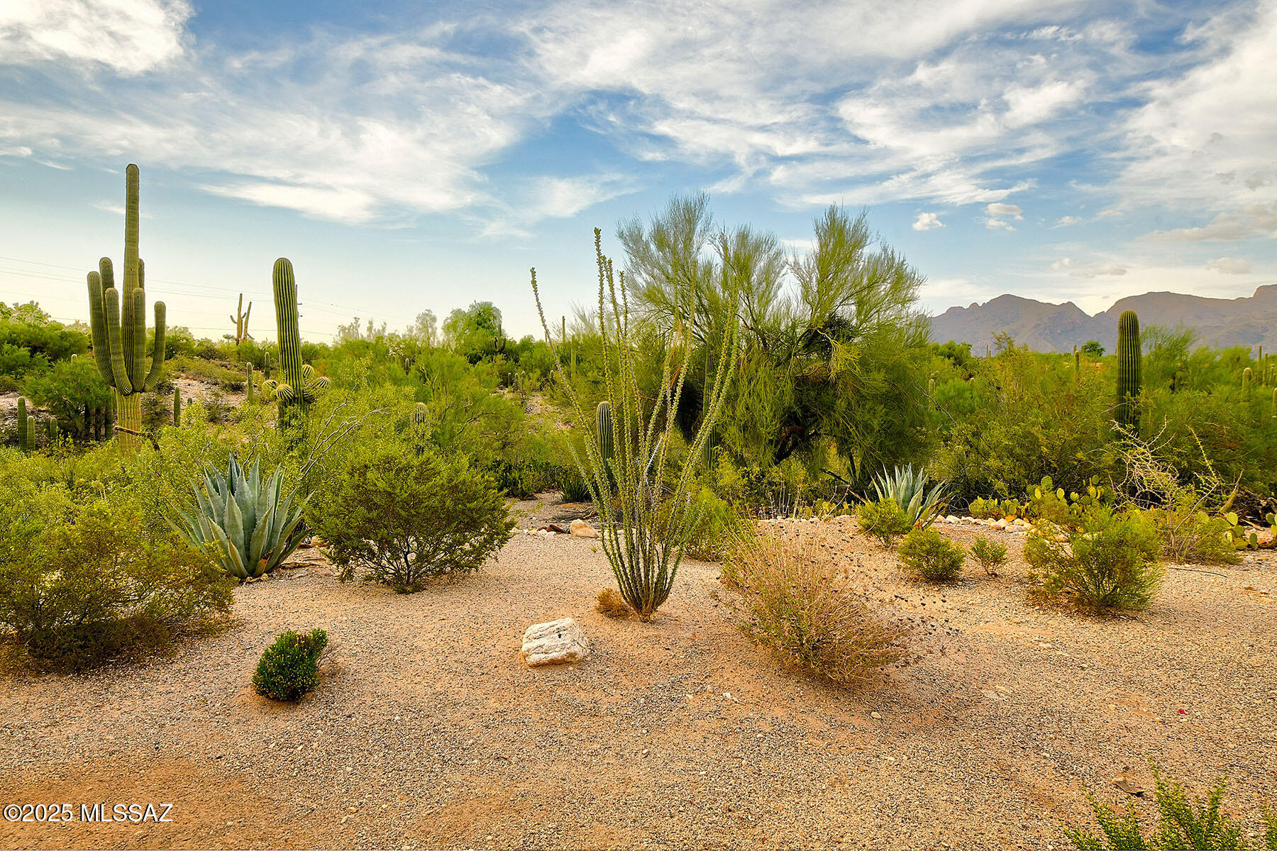 Catalina Foothills Estates NO. 7 - Residential