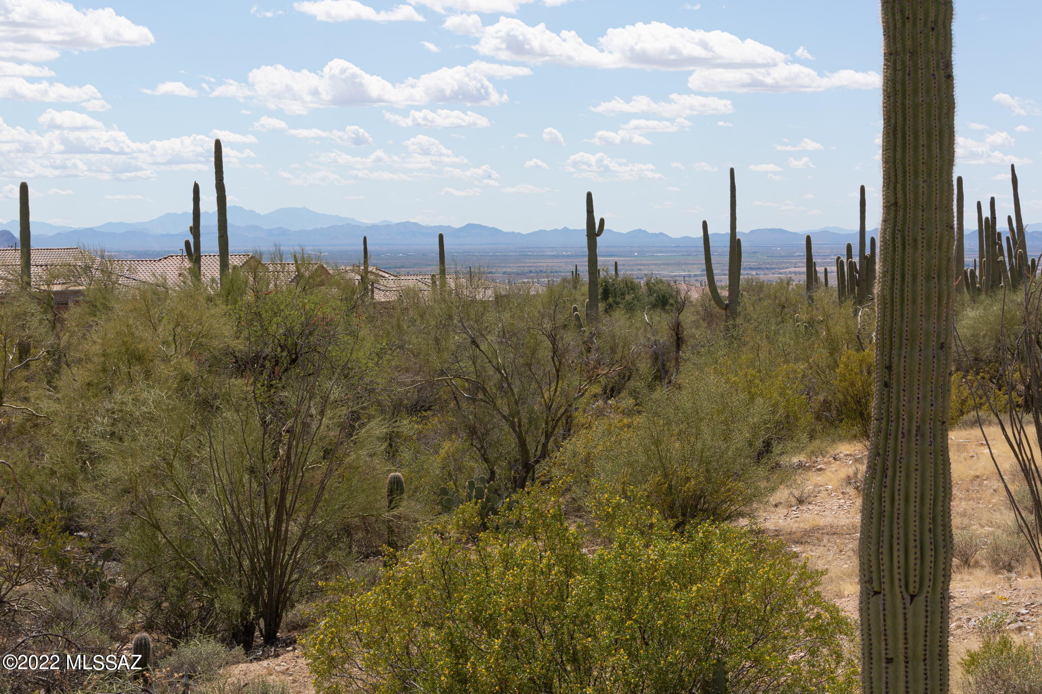 Del Webb At Dove Mountain SQ20131930189 - Residential