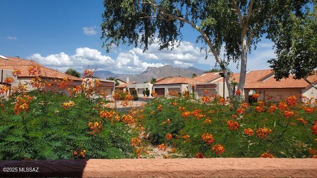 2413 W Tom Watson Drive