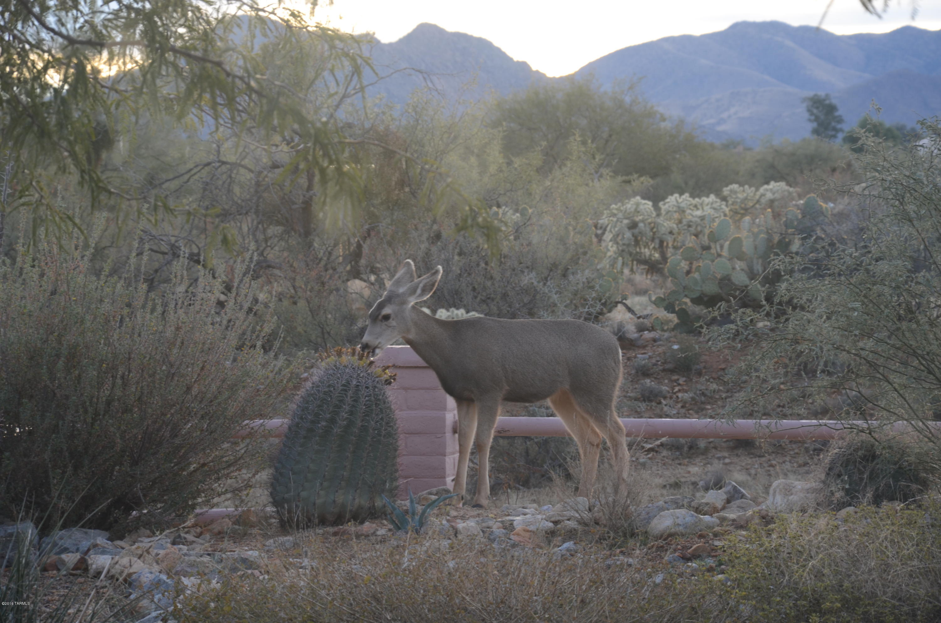 Diamond Bell Ranch - Tucson Unit 9 (Lots 58-375) - Residential