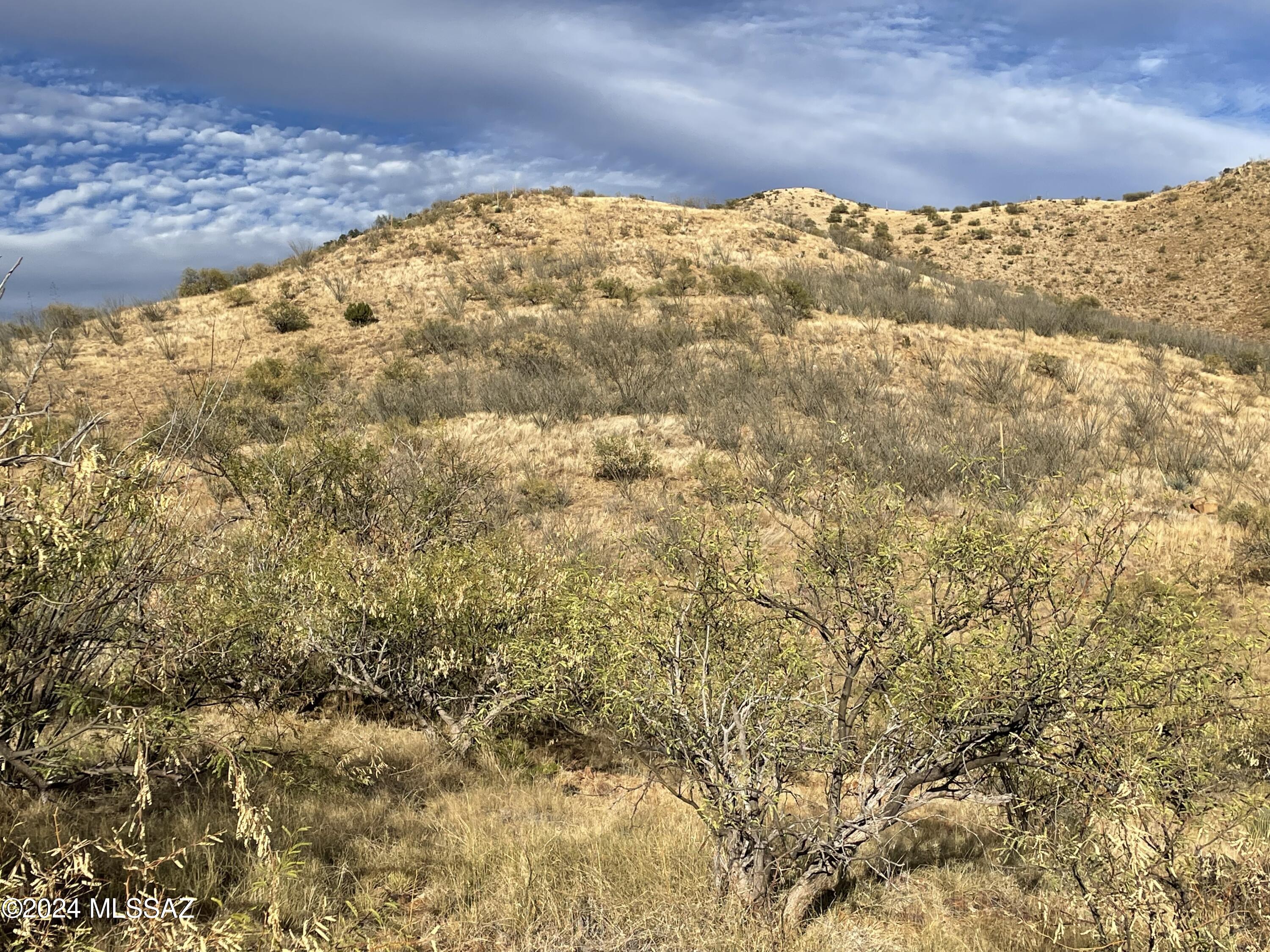 Salero Ranch - Land