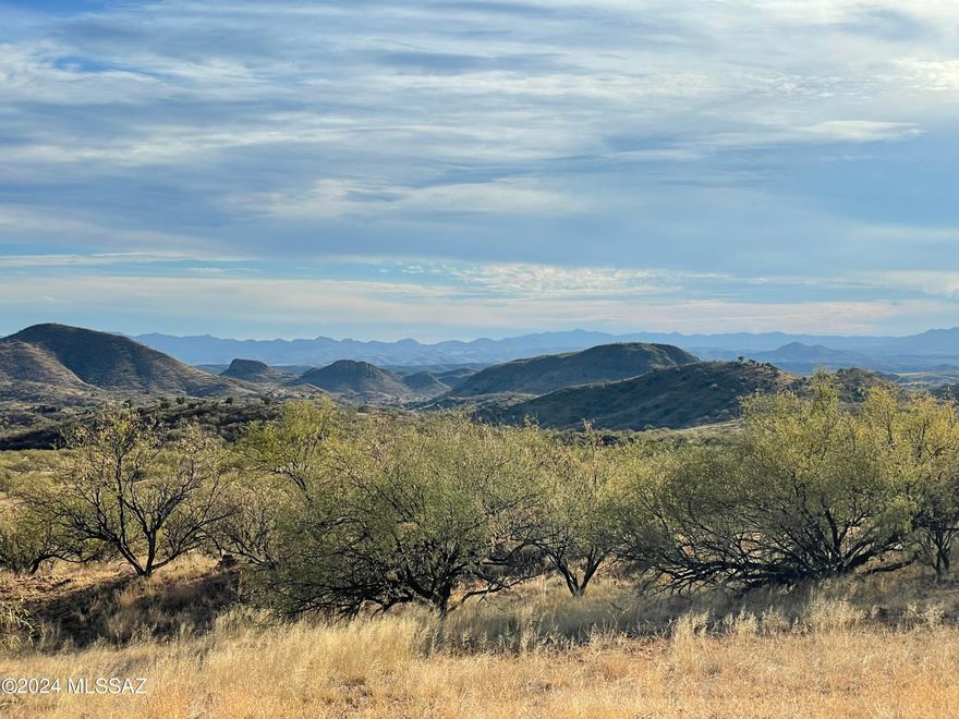 REMARKABLY RARE, HUGE 71 ACRE PARCEL WITH 936 FEET OF FRONTAGE ON THE CORONADO NATIONAL FOREST! THIS IS THE LARGEST PARCEL ON THE ENTIRE SALERO RANCH WITH UNDERGROUND ELECTRIC TO PROTECT THE ENDLESS, JAW DROPPING VIEWS THAT ABSOLUTELY MUST BE SEEN. Several fantastic building sites close to electric service. The Salero Ranch is a coveted, dramatic, prestigious private, gated, secluded 20,000 acre ranch between the two charming towns of Tubac & Patagonia. Come enjoy the fantastic annual climate at one of the highest elevations on the ranch at 4,800 feet! Appreciate endless hunting (in the adjacent National Forest), horseback riding, hiking, mountain biking, abundant wildlife, bird watching & the beautiful sunsets! THE ADJACENT LOT 104 IS ALSO AVAILABLE FOR $110K! EXCELLENT OPPORTUNITY!