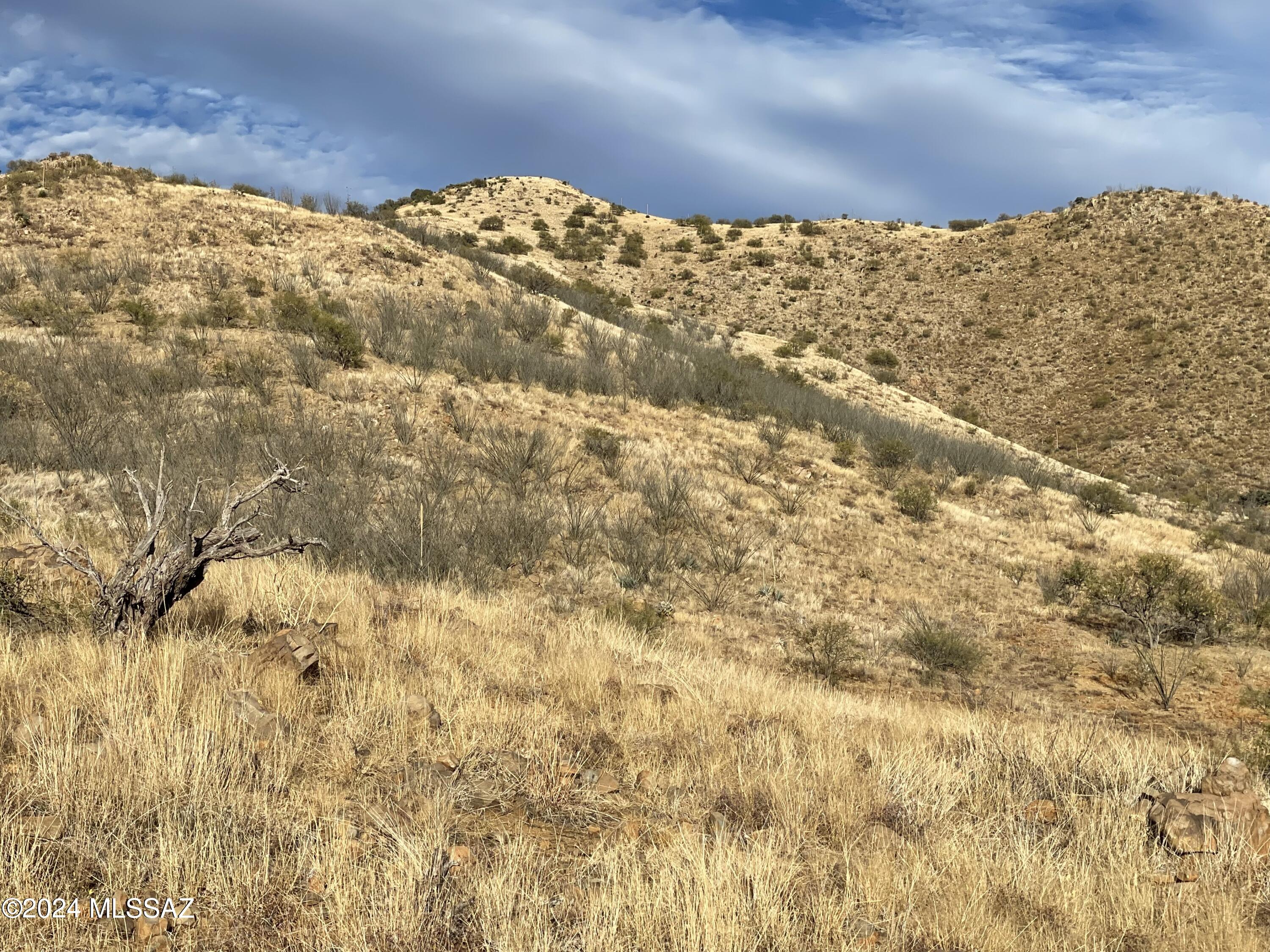 Salero Ranch - Land
