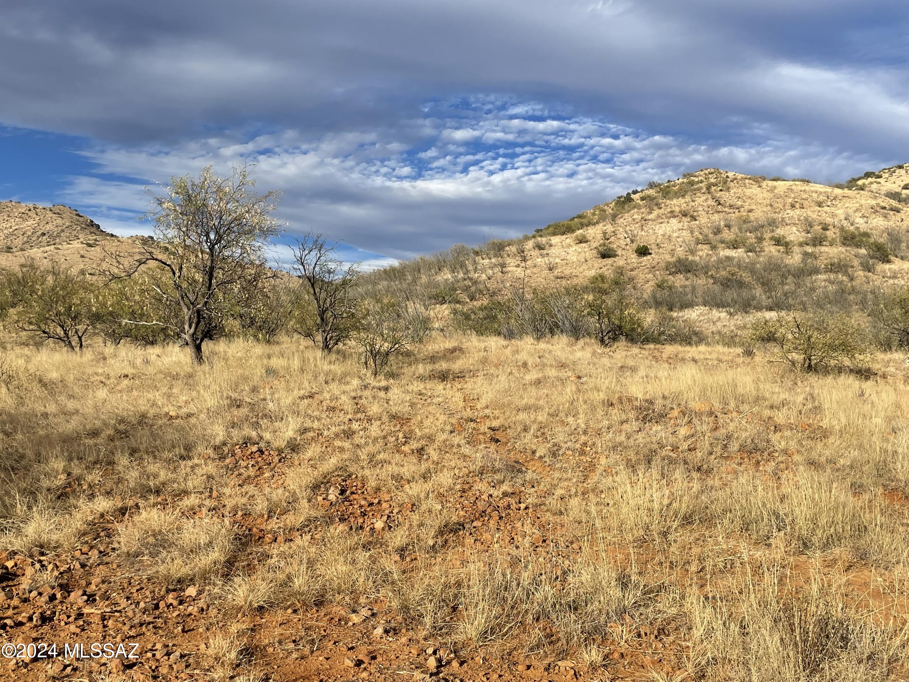 Salero Ranch - Land