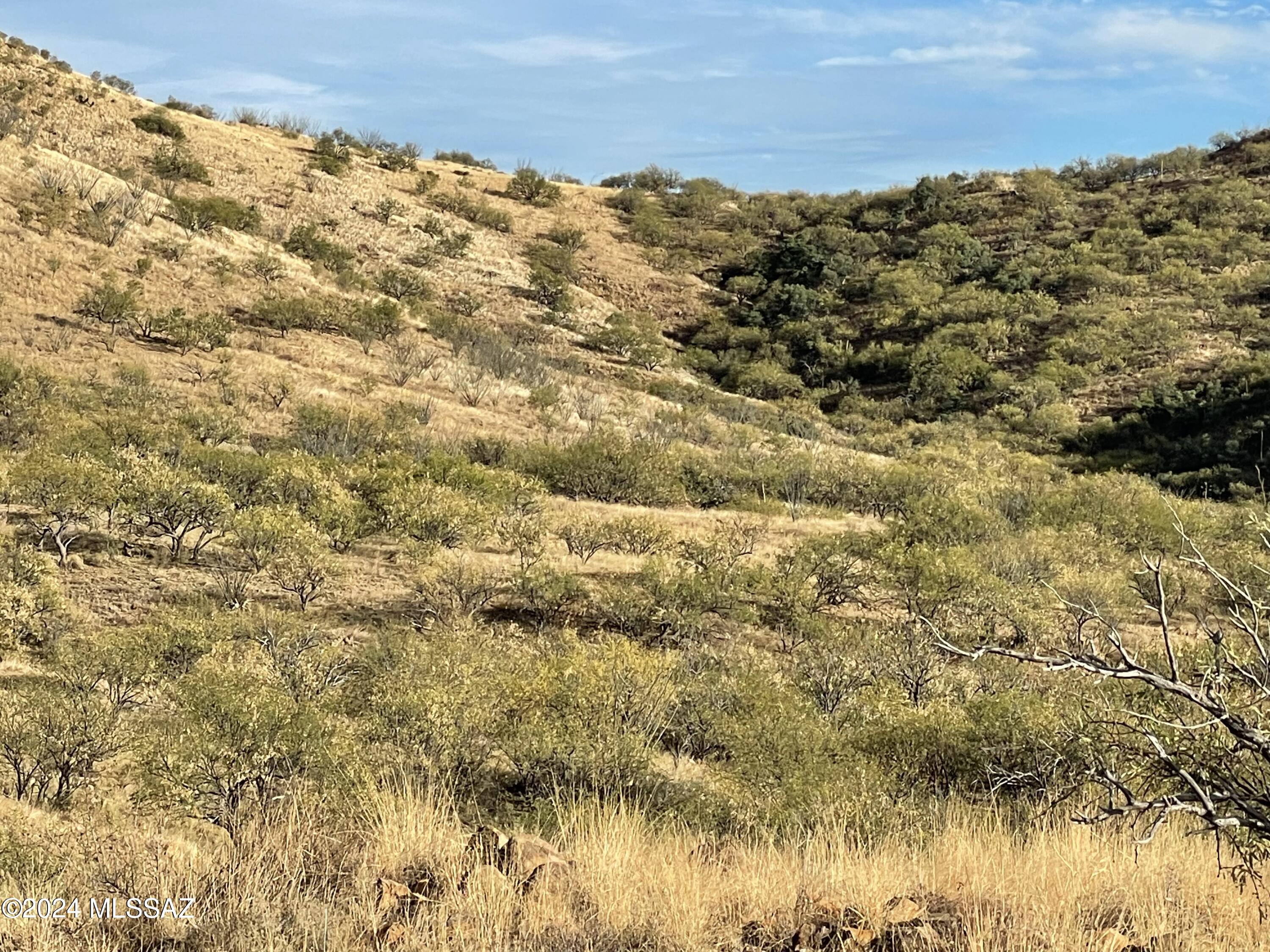Salero Ranch - Land