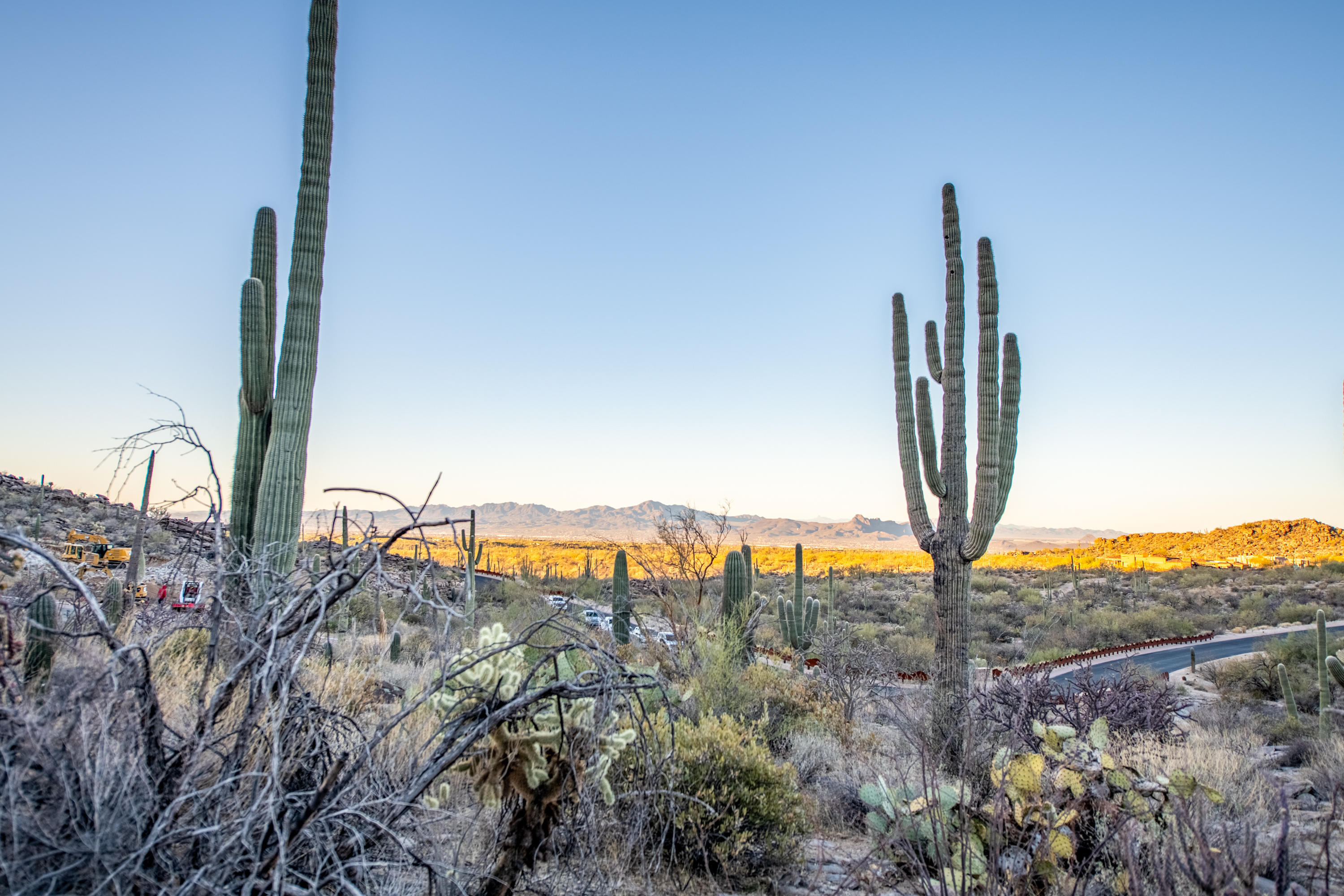 Canyon Pass At Dove Mountain - Residential