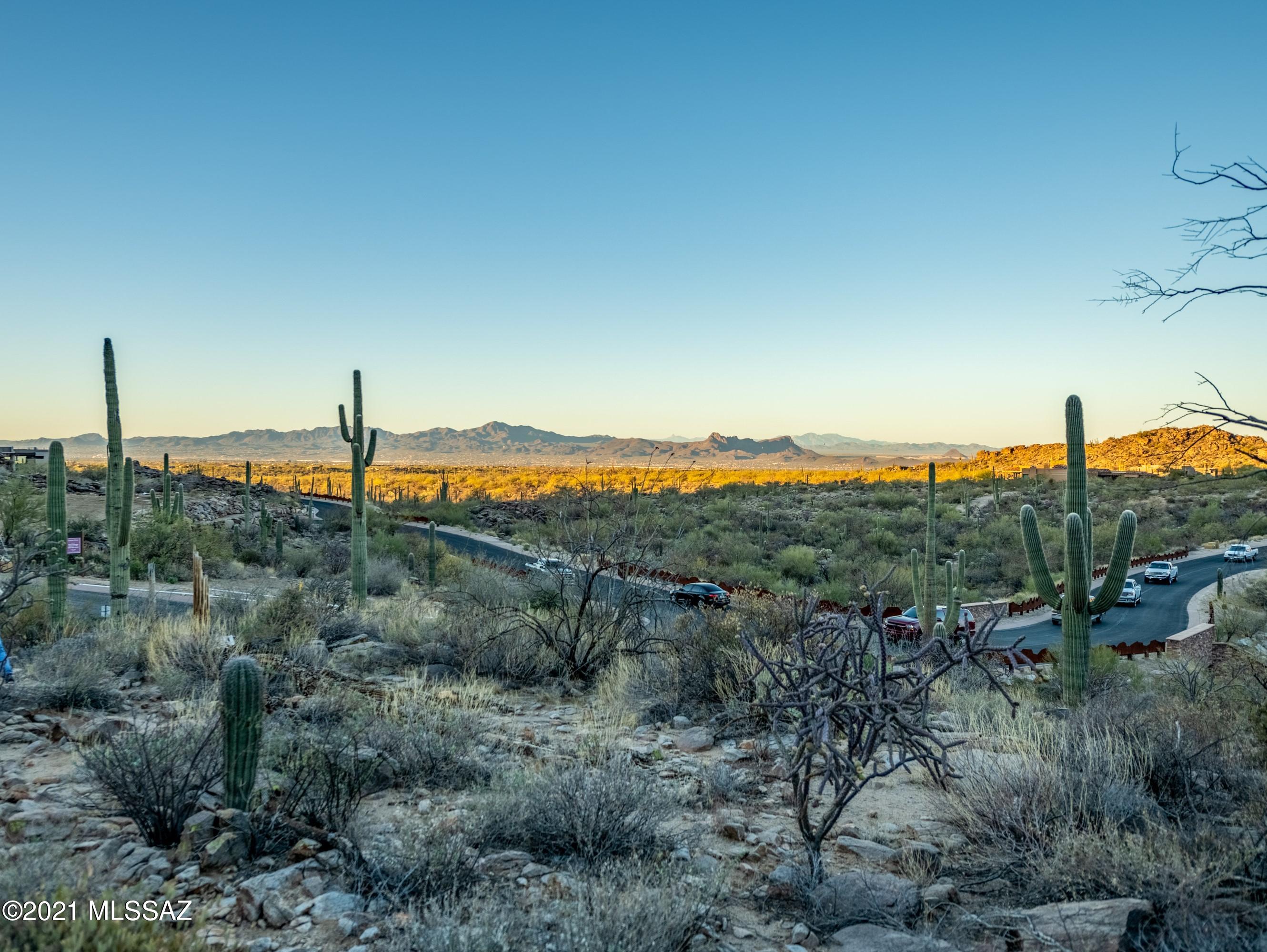 Canyon Pass At Dove Mountain - Residential