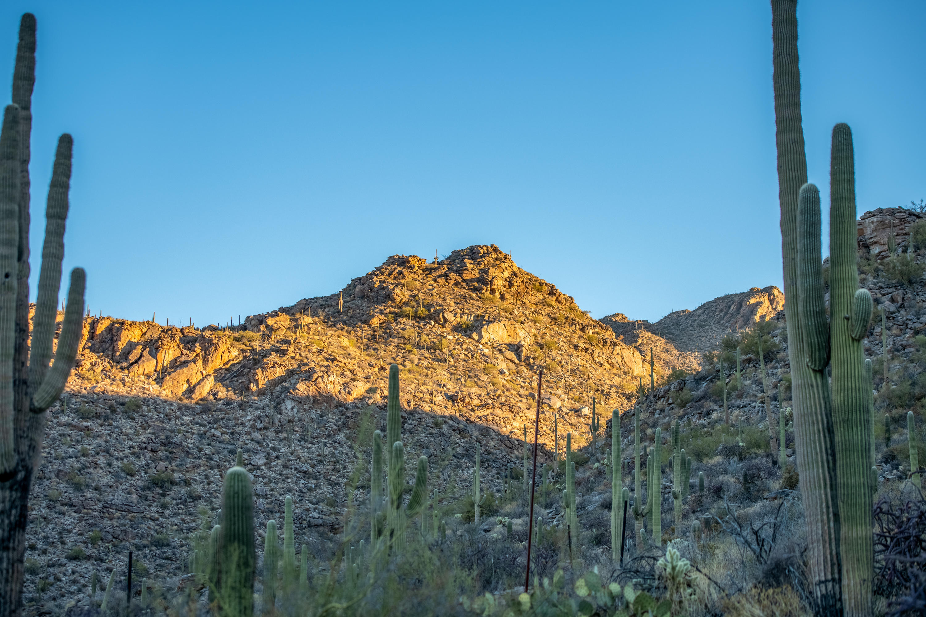 Canyon Pass At Dove Mountain - Residential