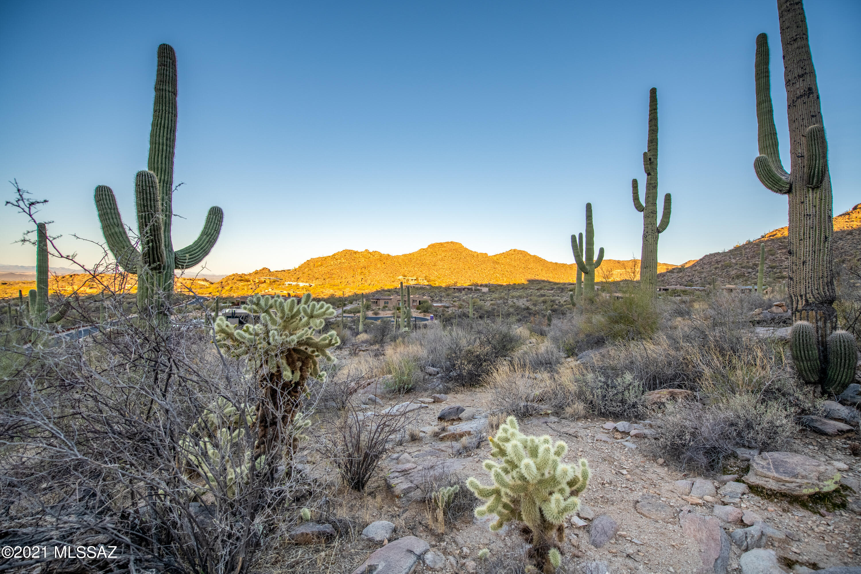 Canyon Pass At Dove Mountain - Residential