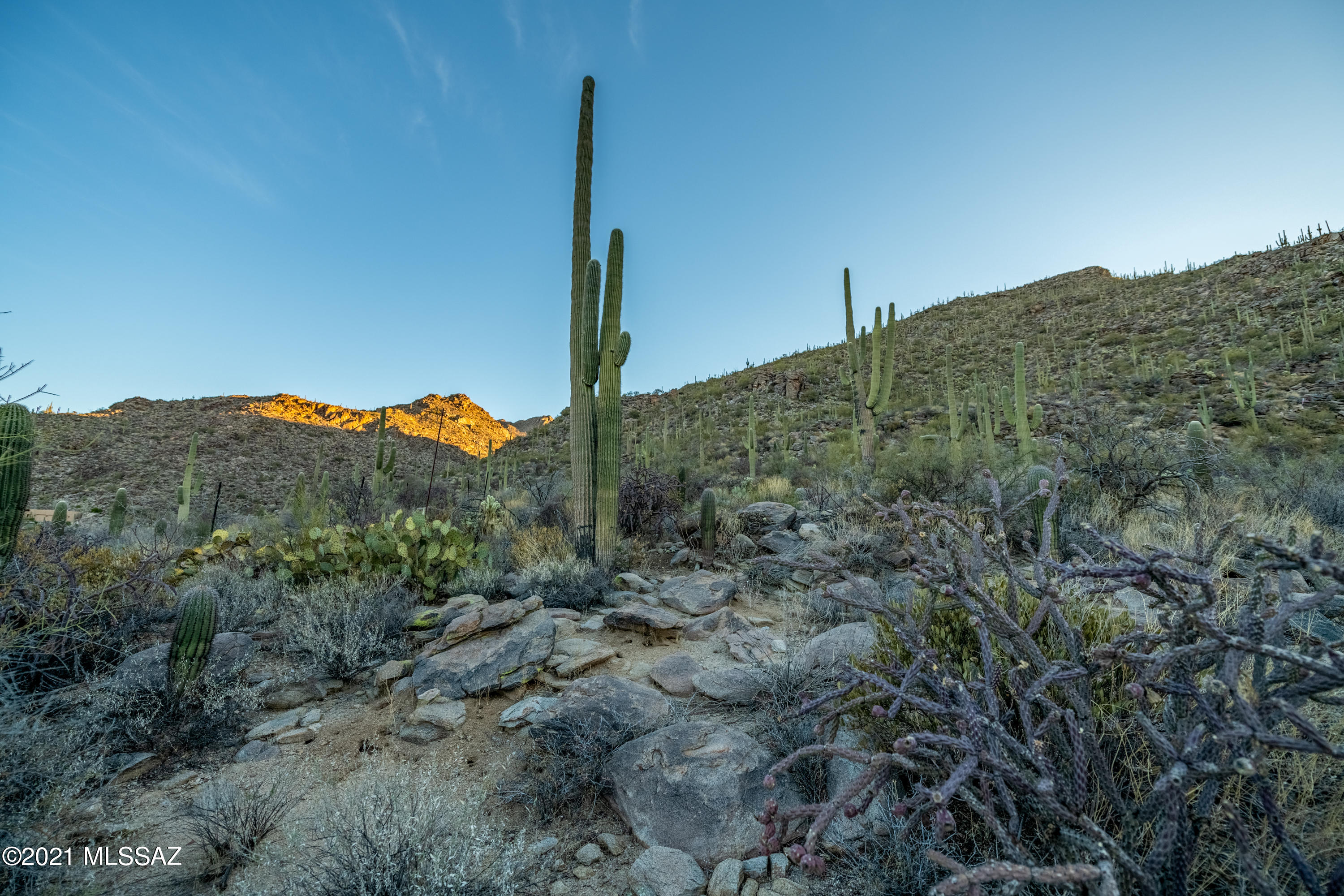 Canyon Pass At Dove Mountain - Residential