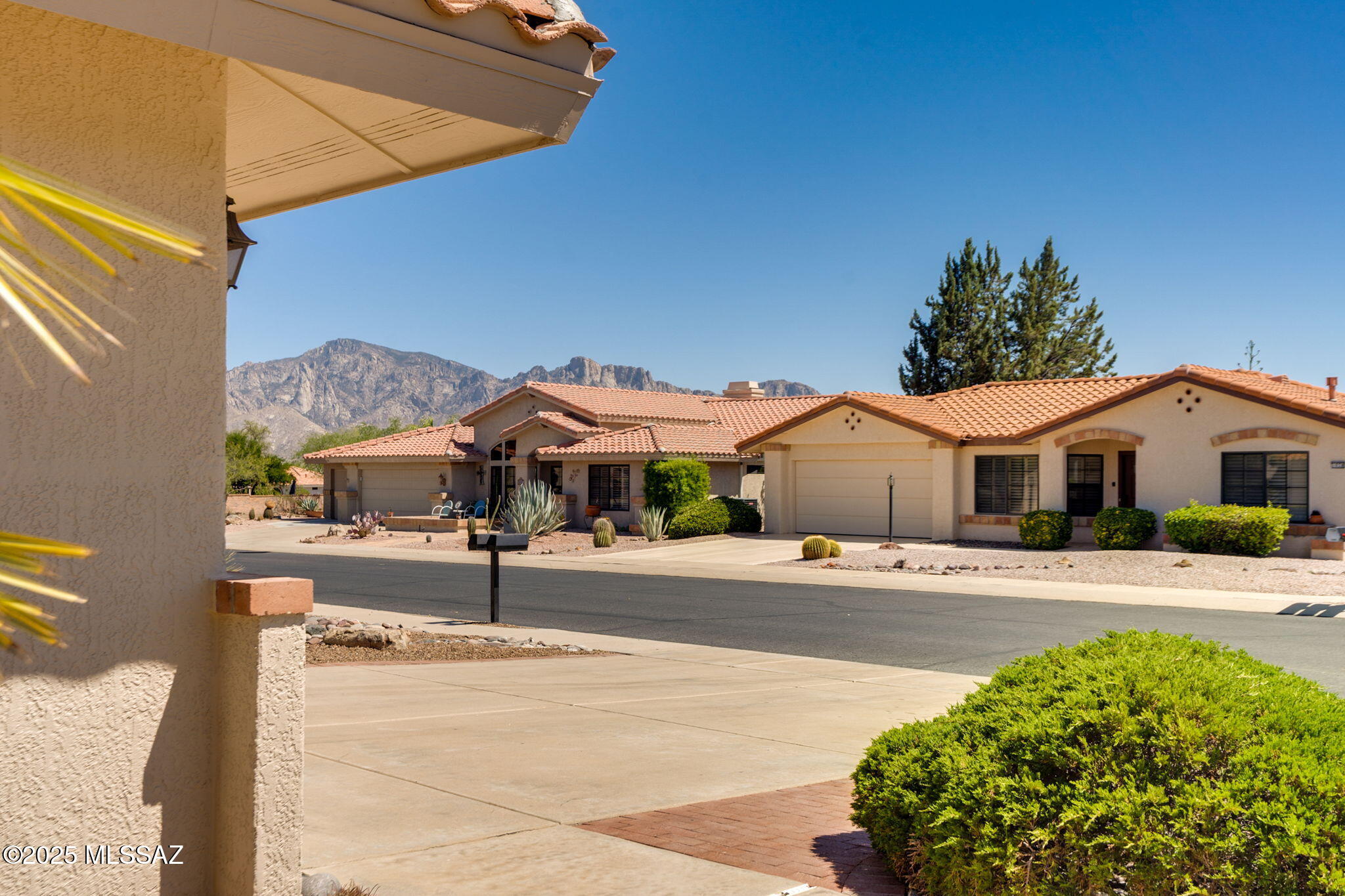1017 E Seven Palms Drive