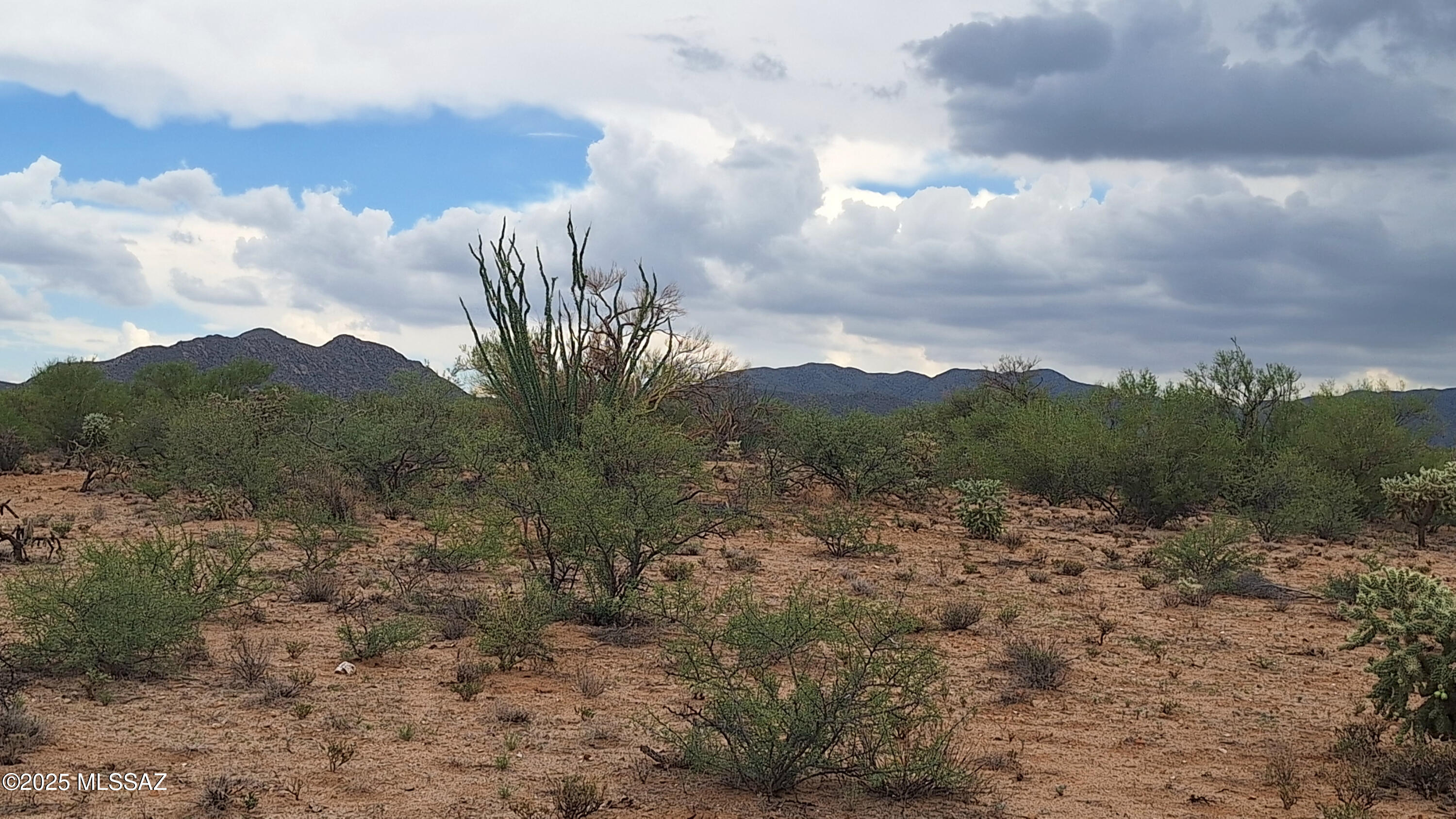 Diamond Bell Ranch - Tucson Unit 11 (1-448) - Land