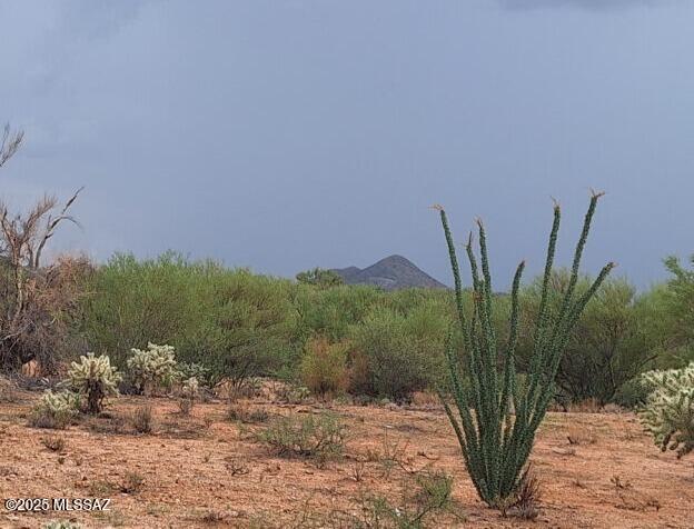 Diamond Bell Ranch - Tucson Unit 11 (1-448) - Land